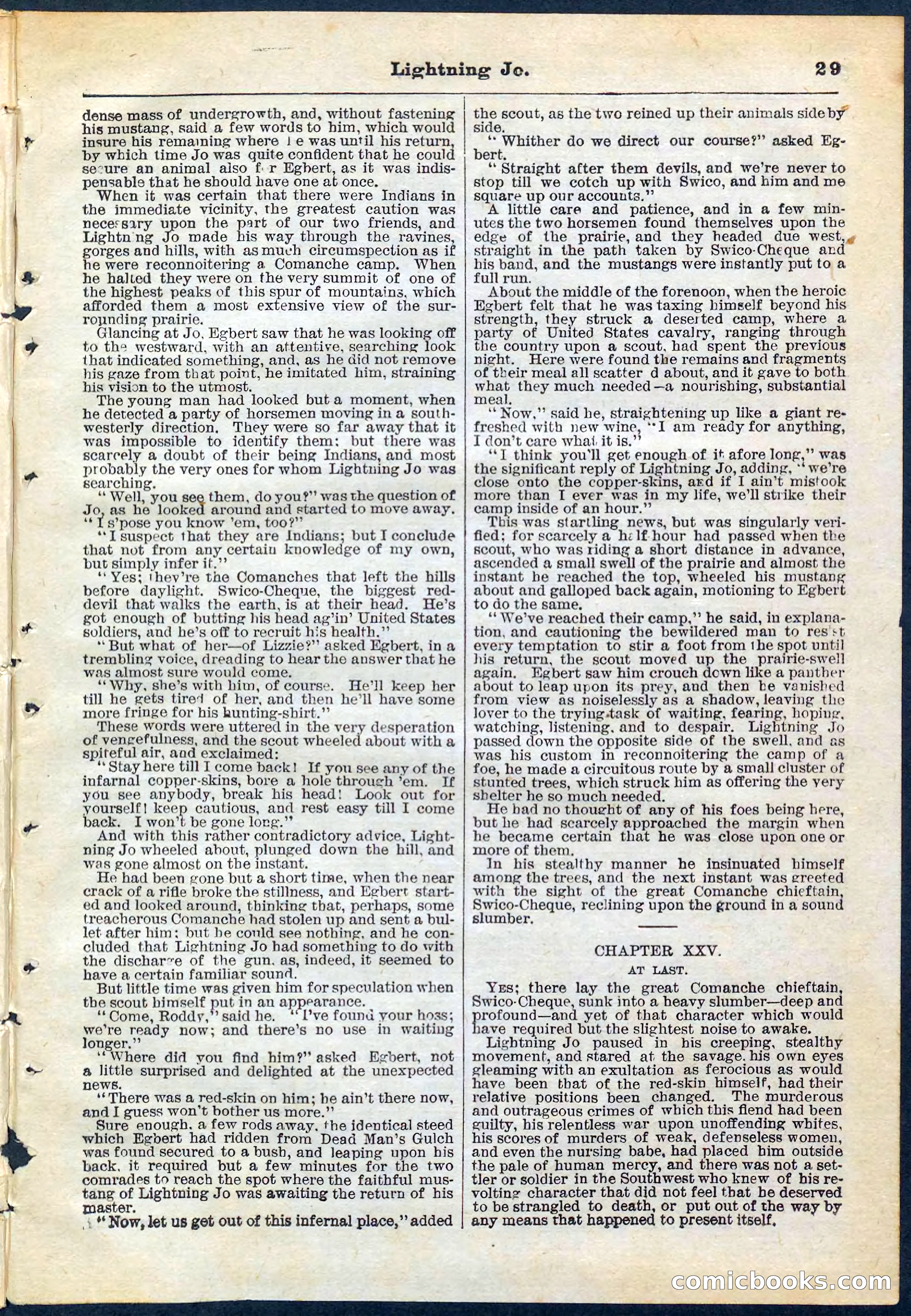 Beadle's Pocket Library No. 65 — page 29 of 32