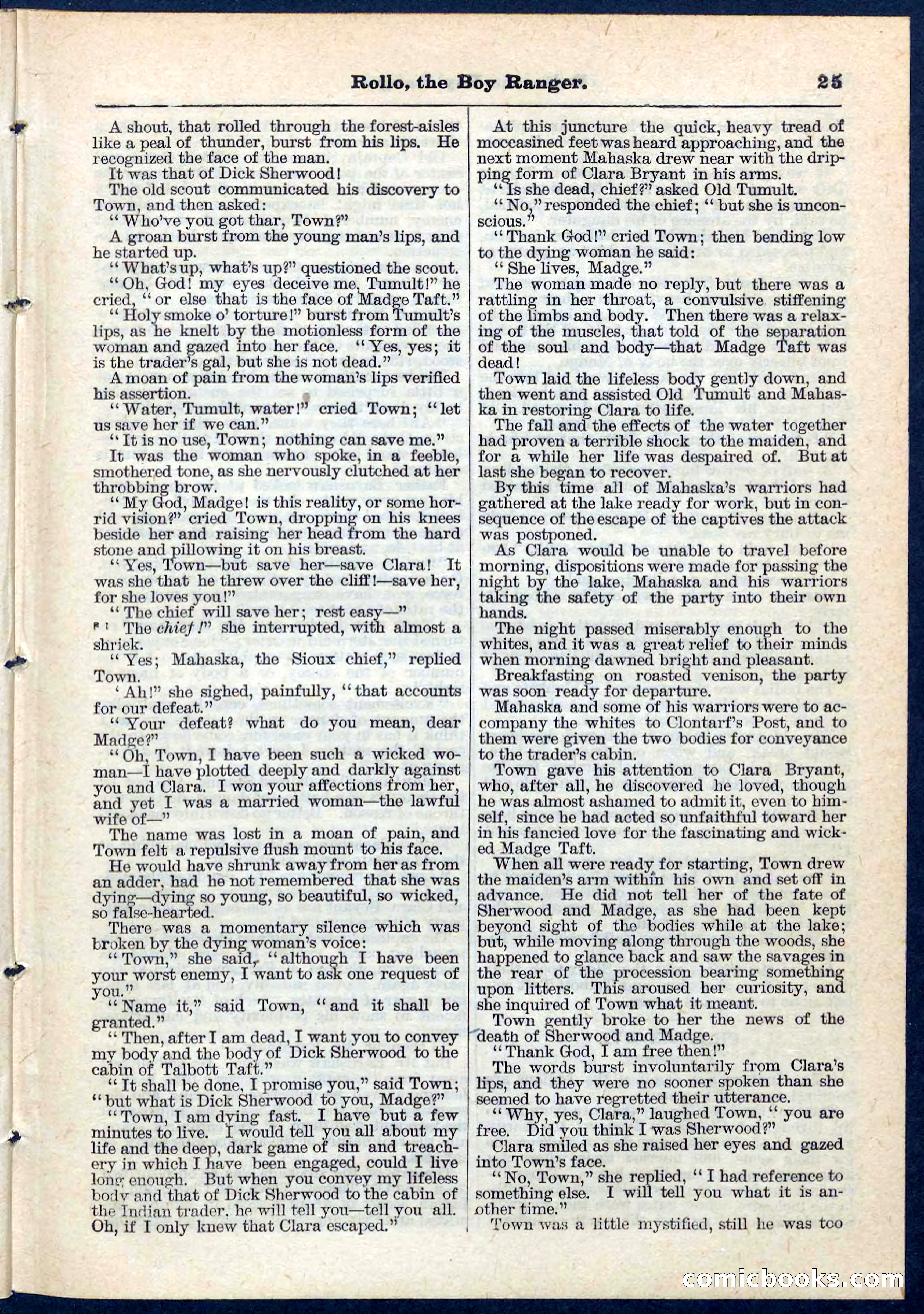 Beadle's Pocket Library No. 67 — page 25 of 32