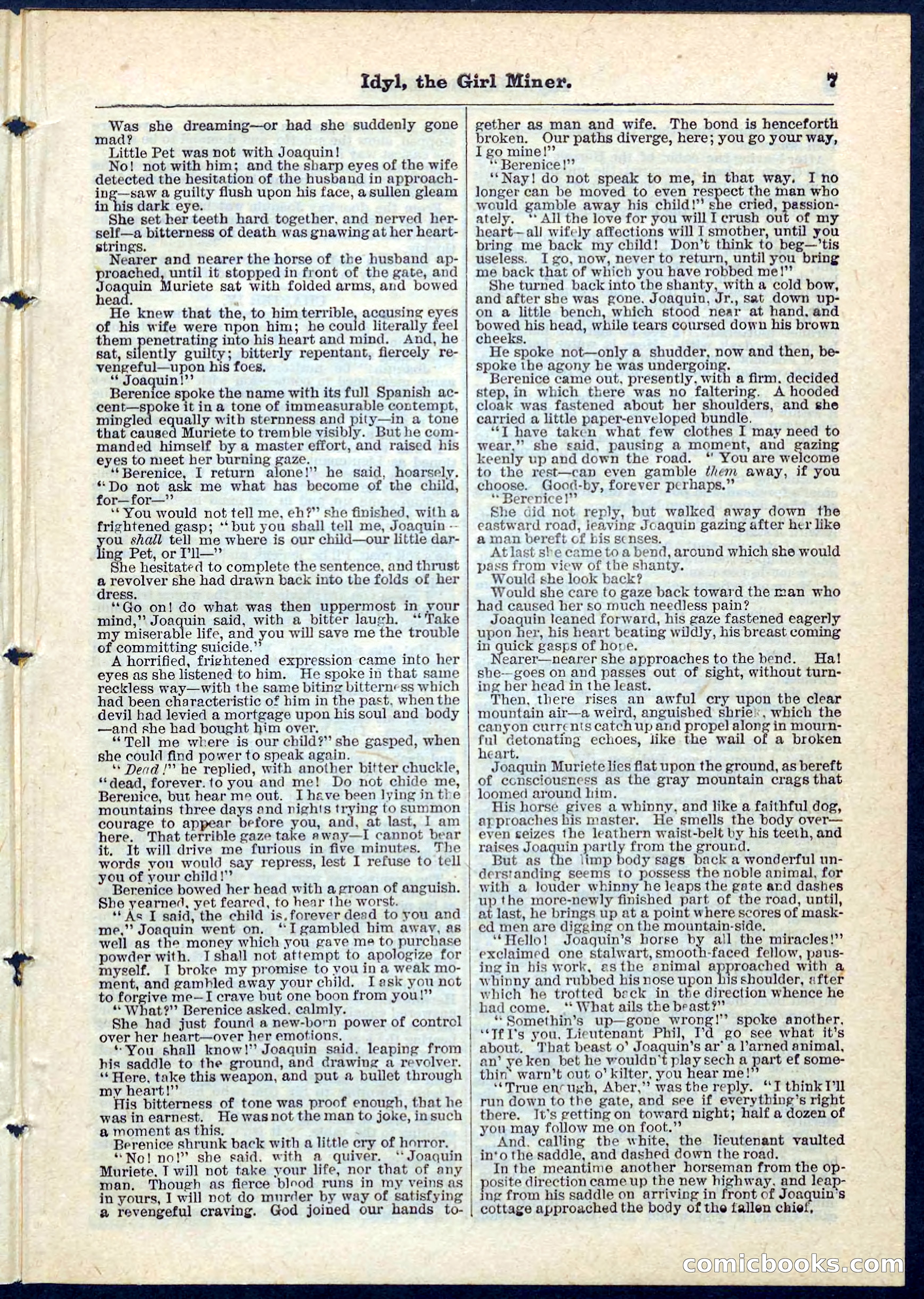 Beadle's Pocket Library No. 68 — page 7 of 32