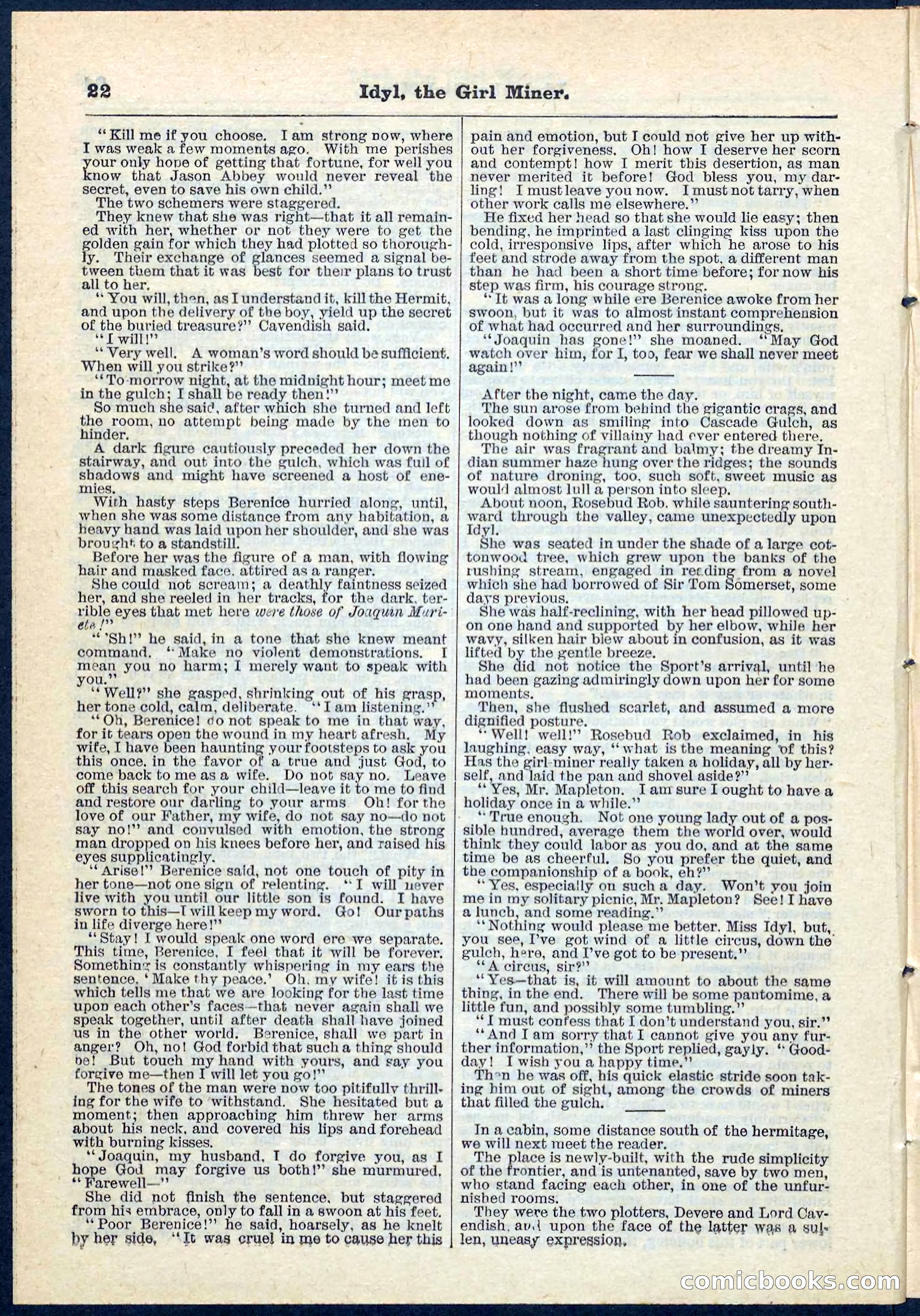 Beadle's Pocket Library No. 68 — page 22 of 32