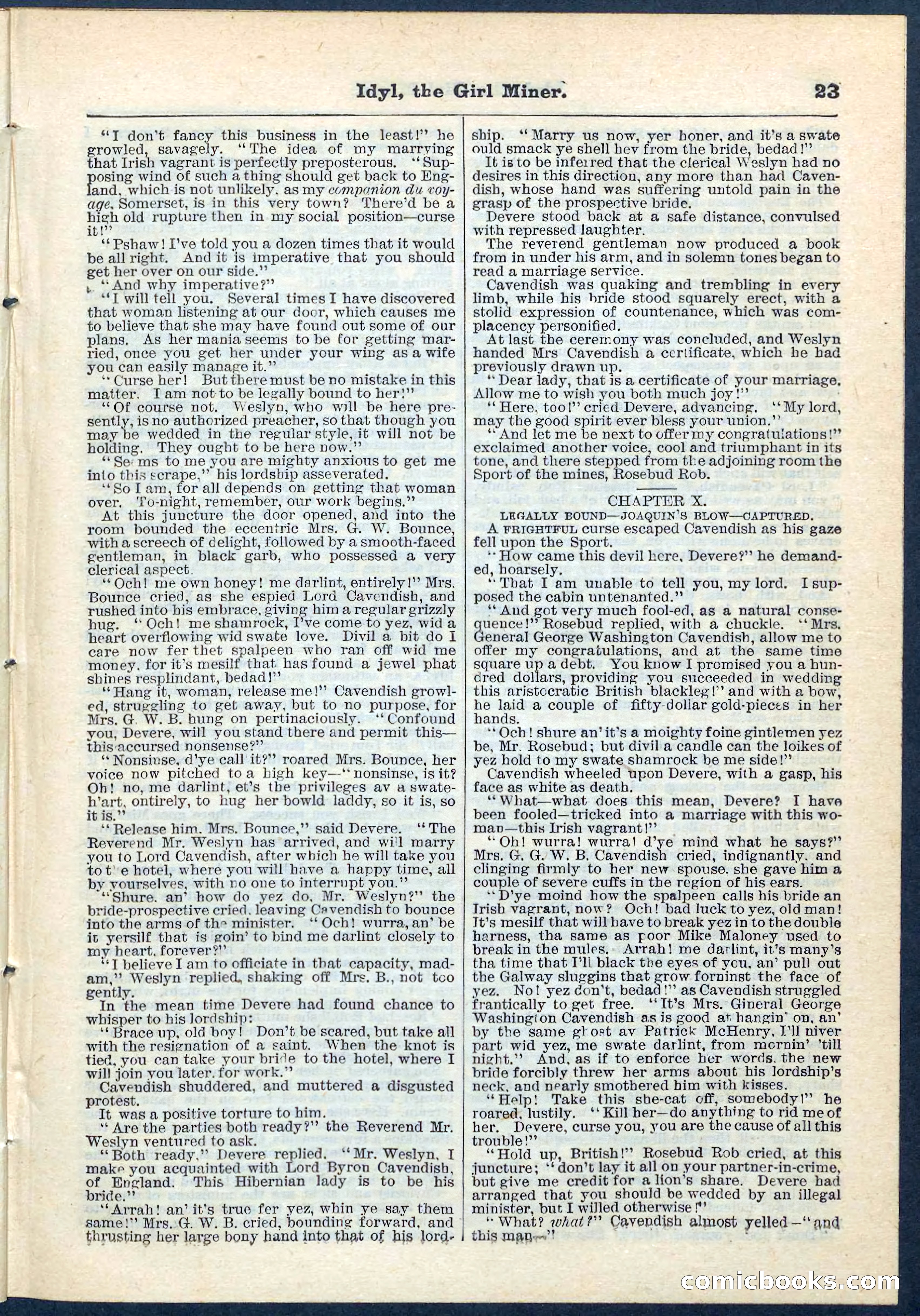 Beadle's Pocket Library No. 68 — page 23 of 32