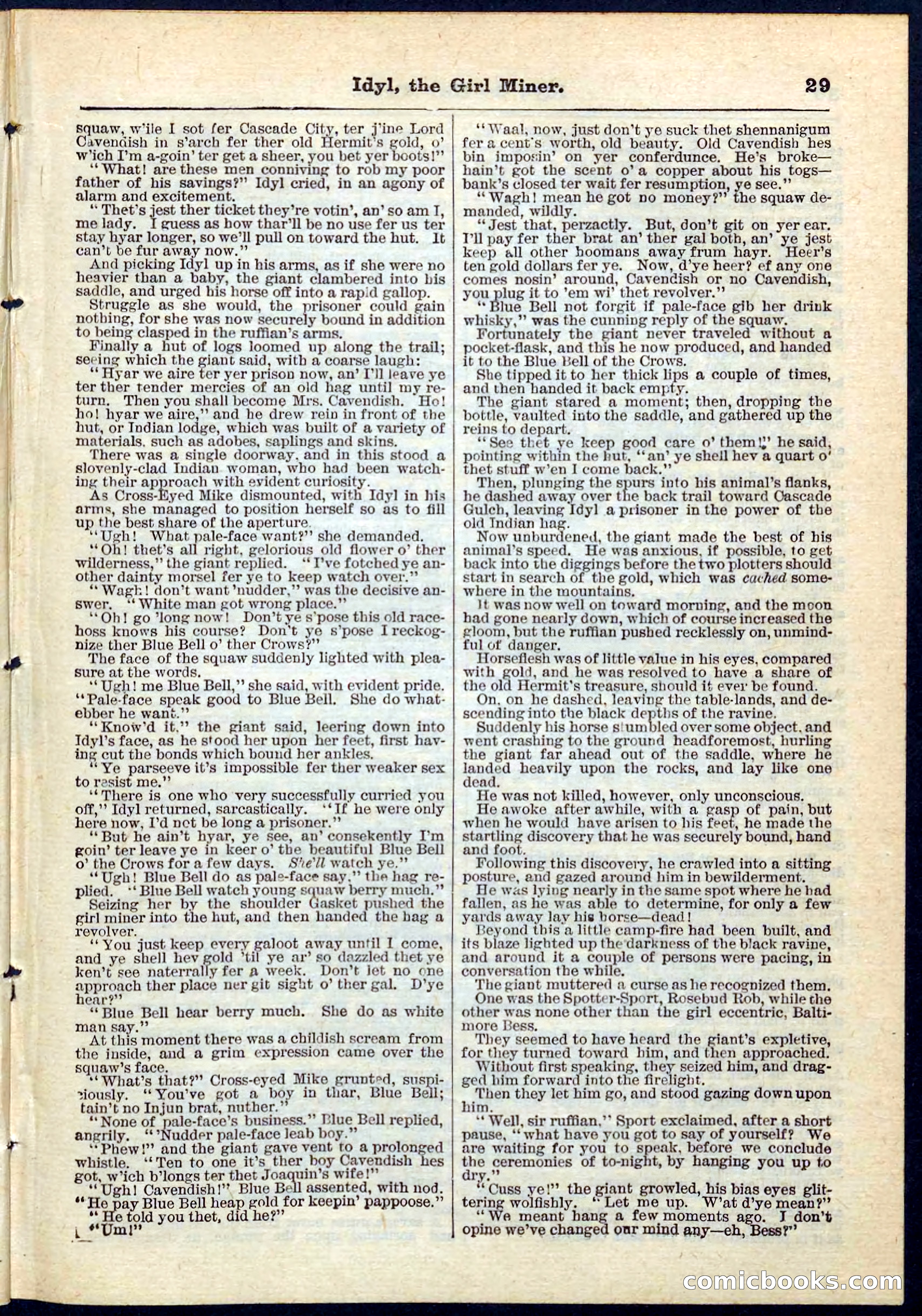 Beadle's Pocket Library No. 68 — page 29 of 32