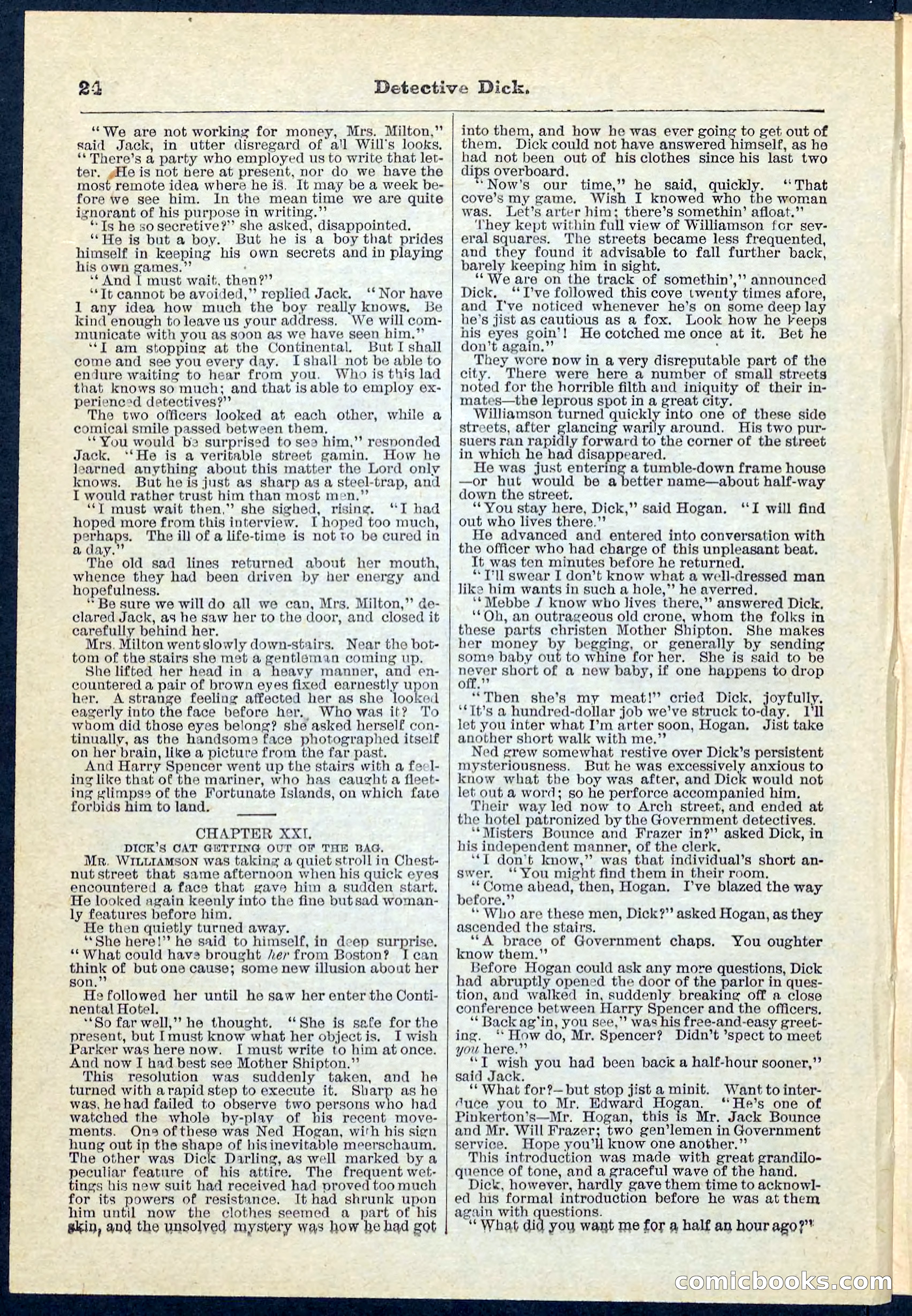 Beadle's Pocket Library No. 69 — page 24 of 32