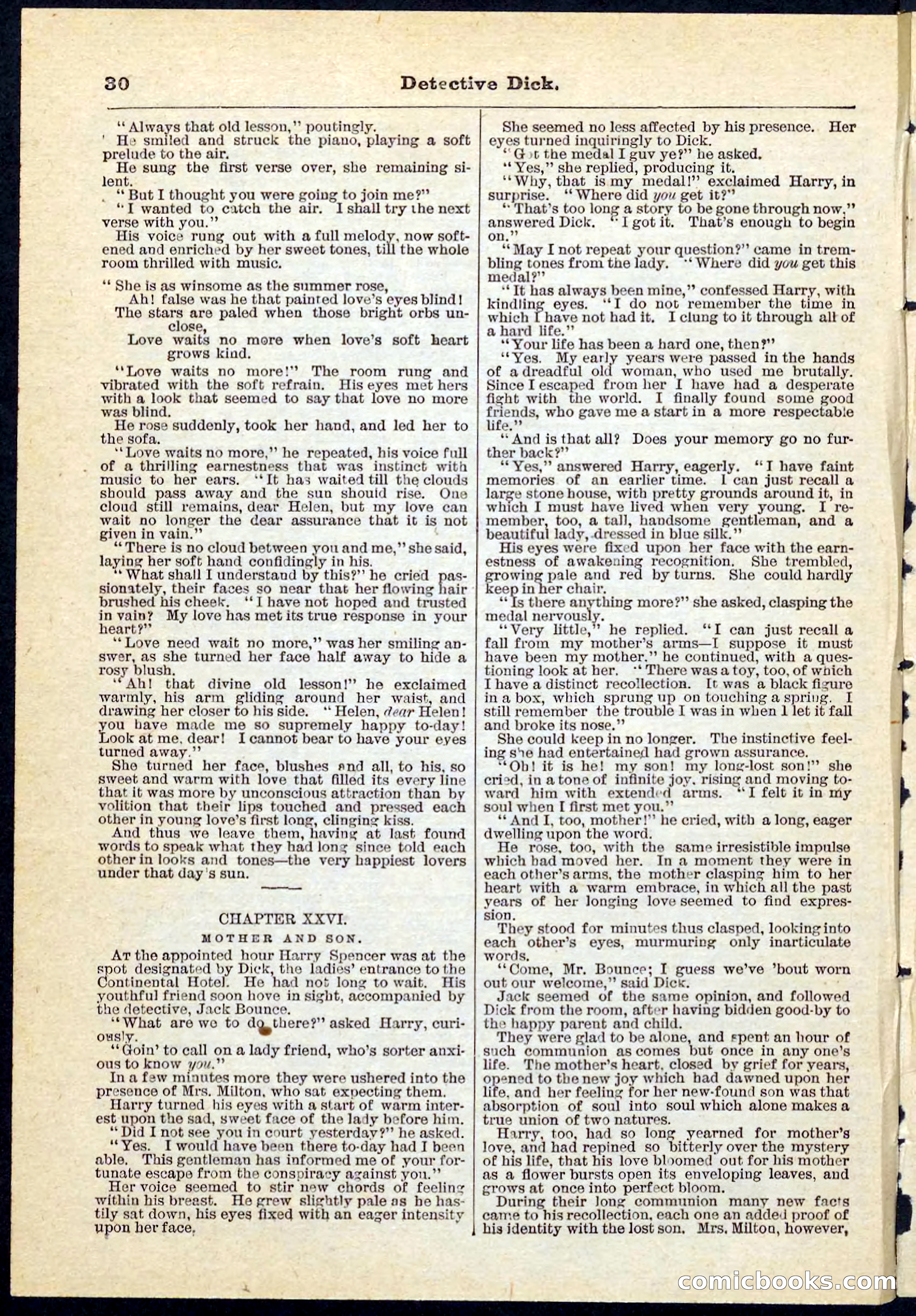 Beadle's Pocket Library No. 69 — page 30 of 32