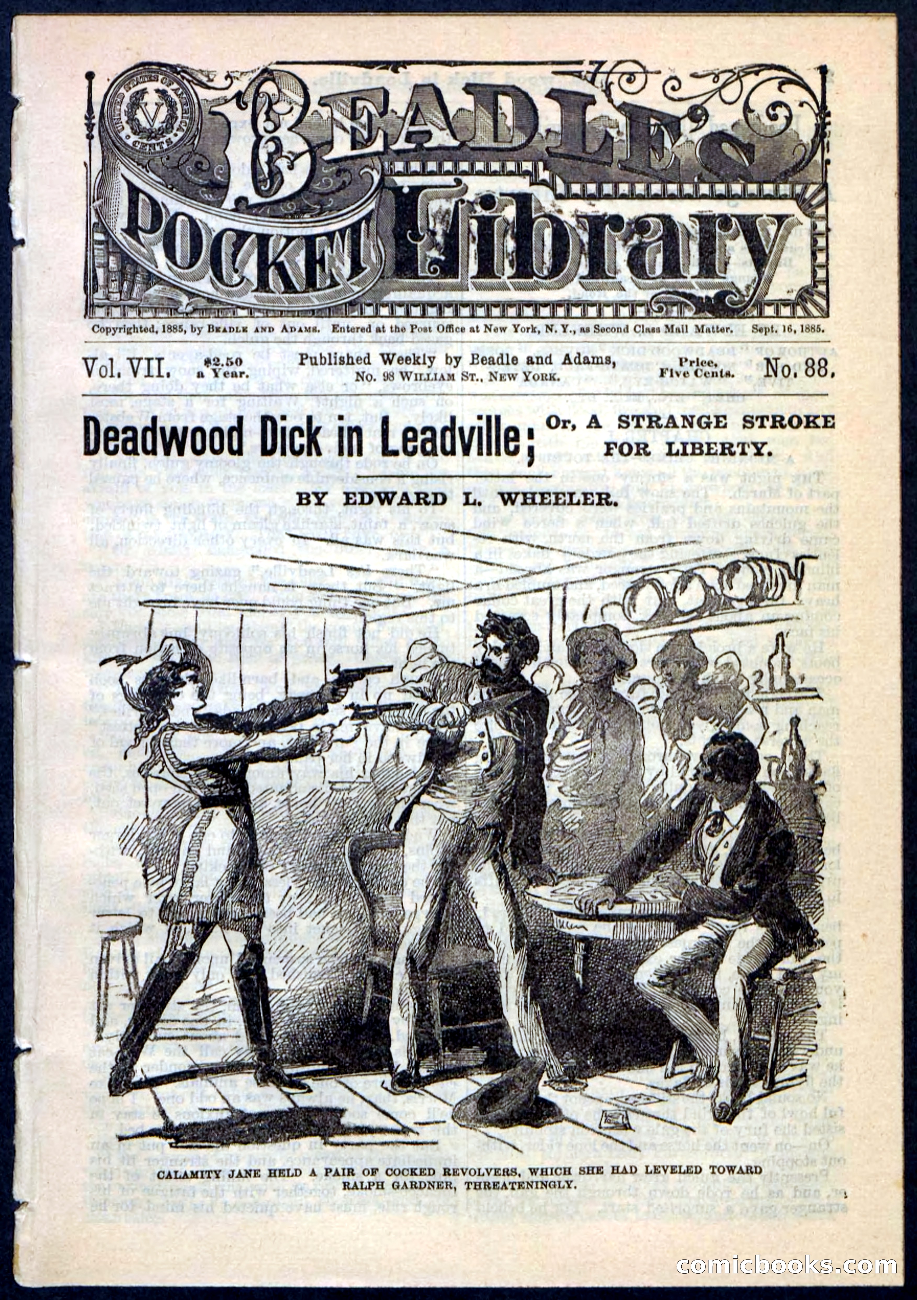 Beadle's Pocket Library No. 88 — page 1 of 32