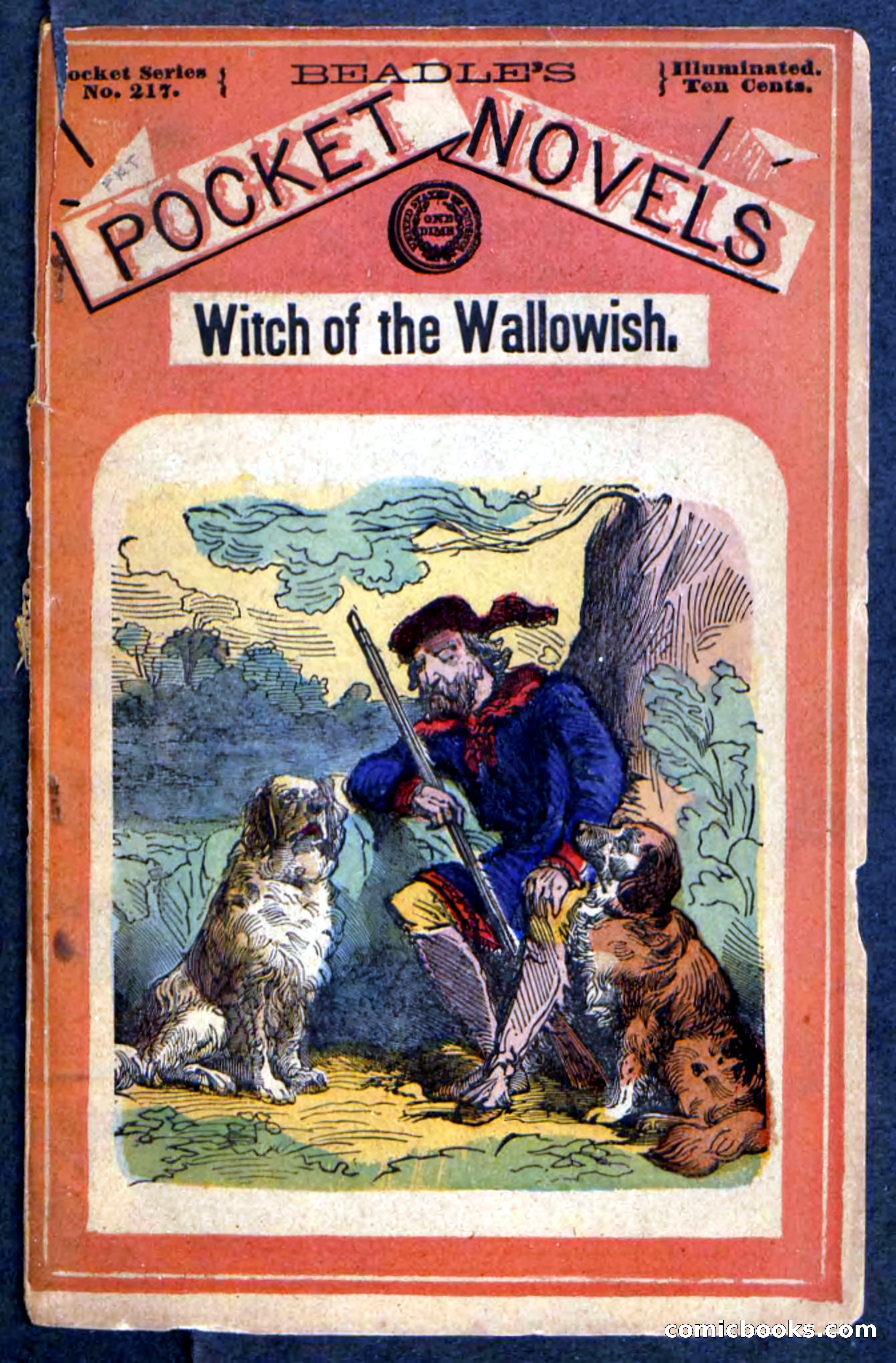 Beadle's Pocket Novels No. 217: Witch of the Wallowish — page 1 of 100