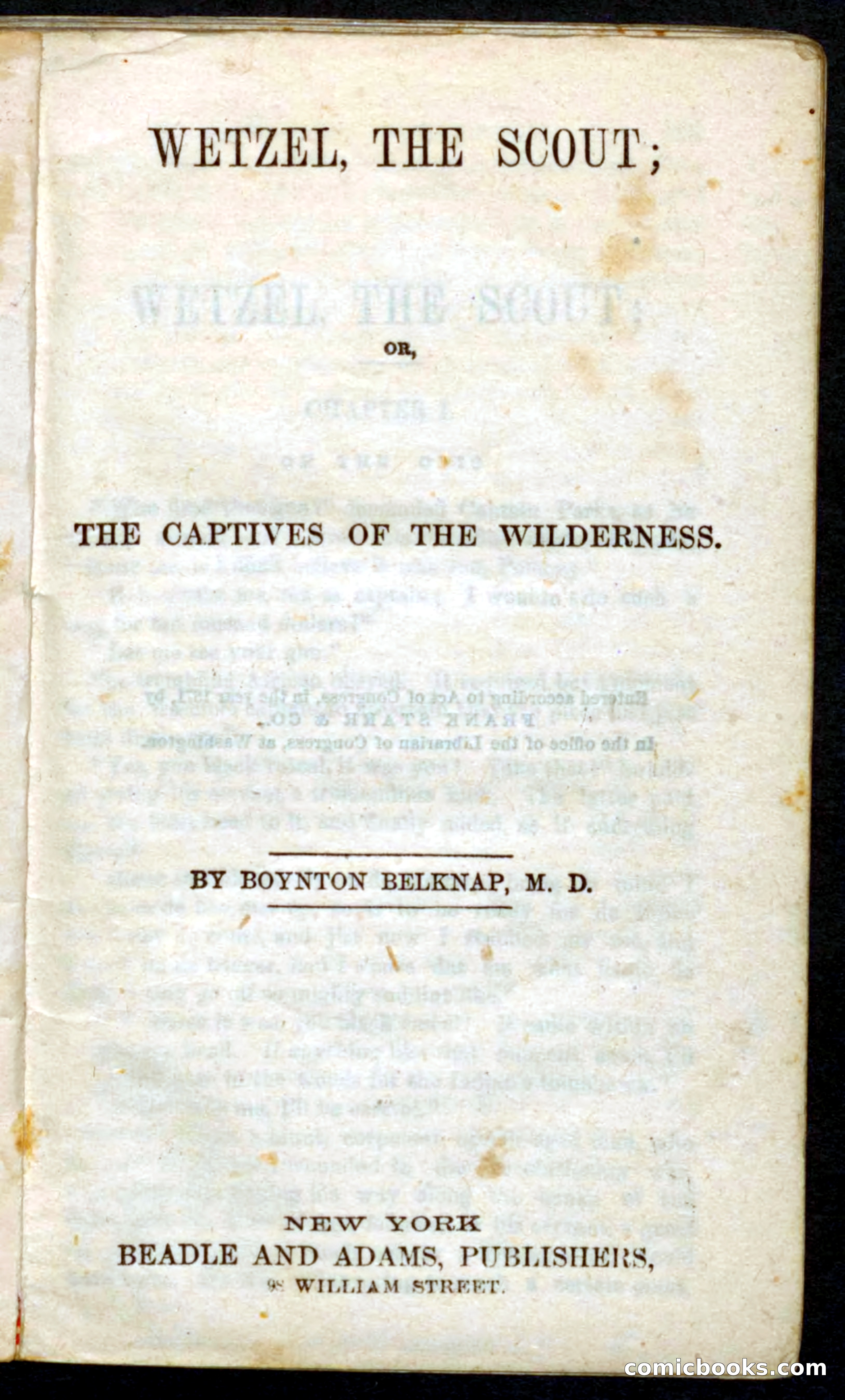 Beadle's Pocket Novels No. 39: Wetzel, the Scout — page 3 of 100