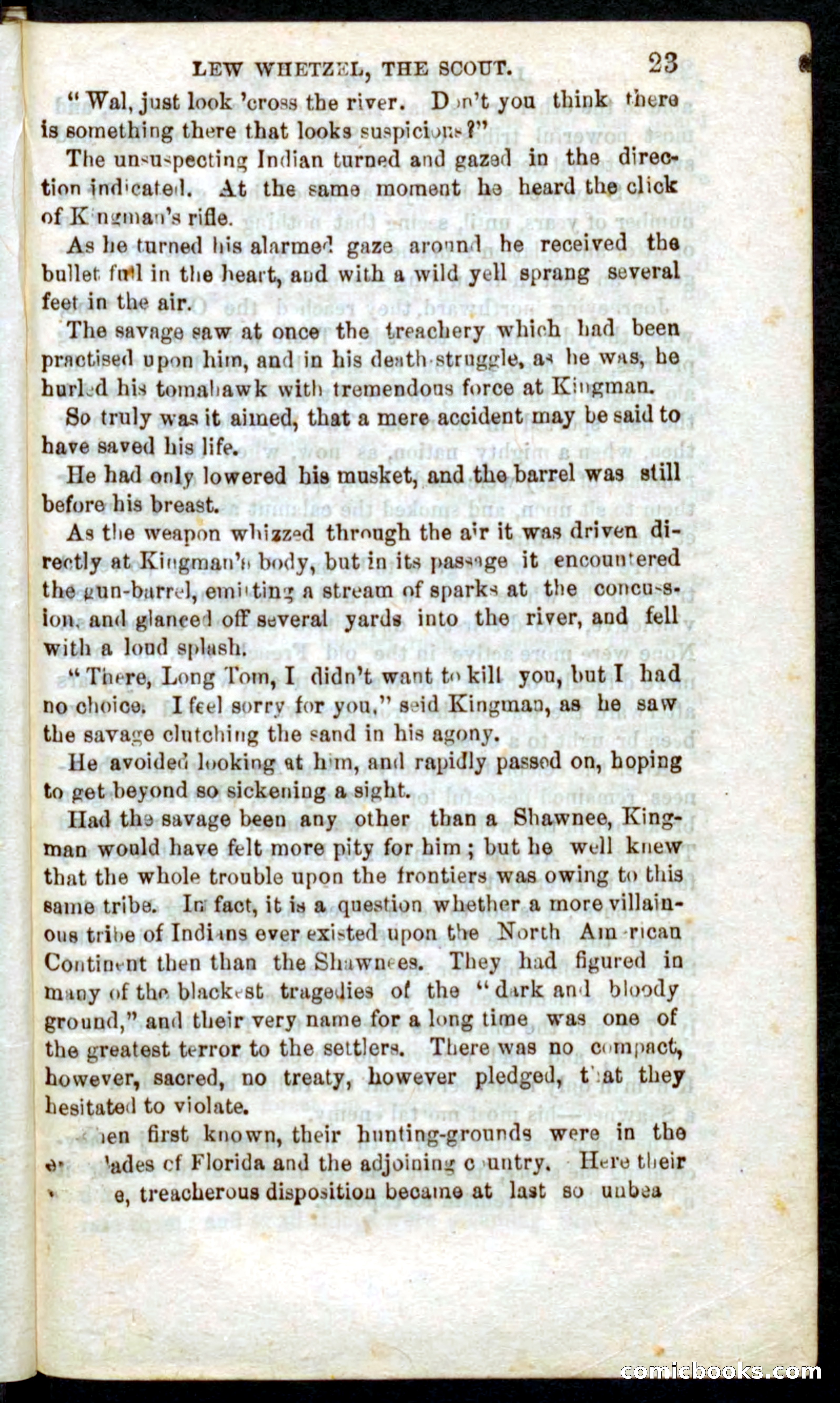 Beadle's Pocket Novels No. 39: Wetzel, the Scout — page 19 of 100
