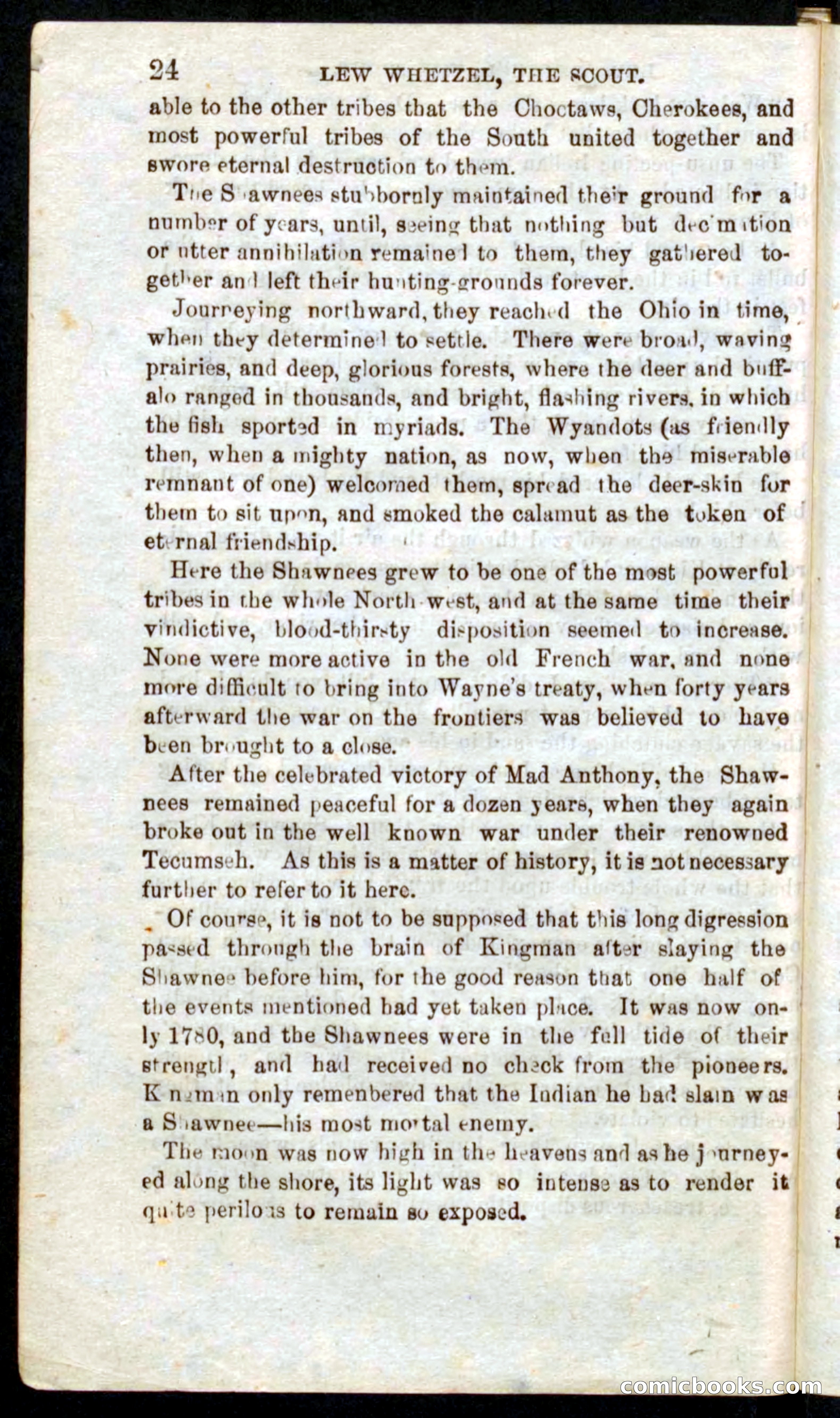 Beadle's Pocket Novels No. 39: Wetzel, the Scout — page 20 of 100