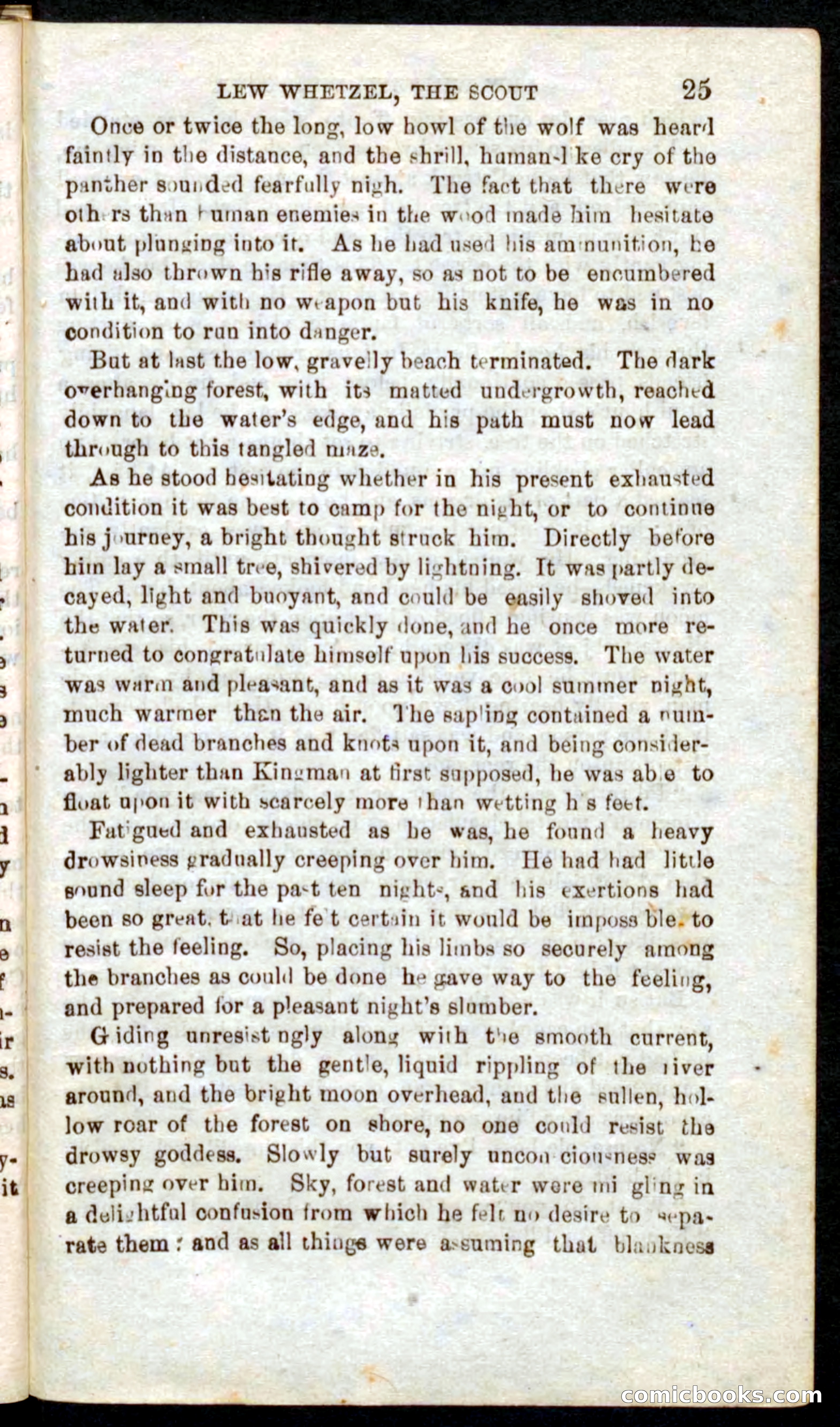 Beadle's Pocket Novels No. 39: Wetzel, the Scout — page 21 of 100