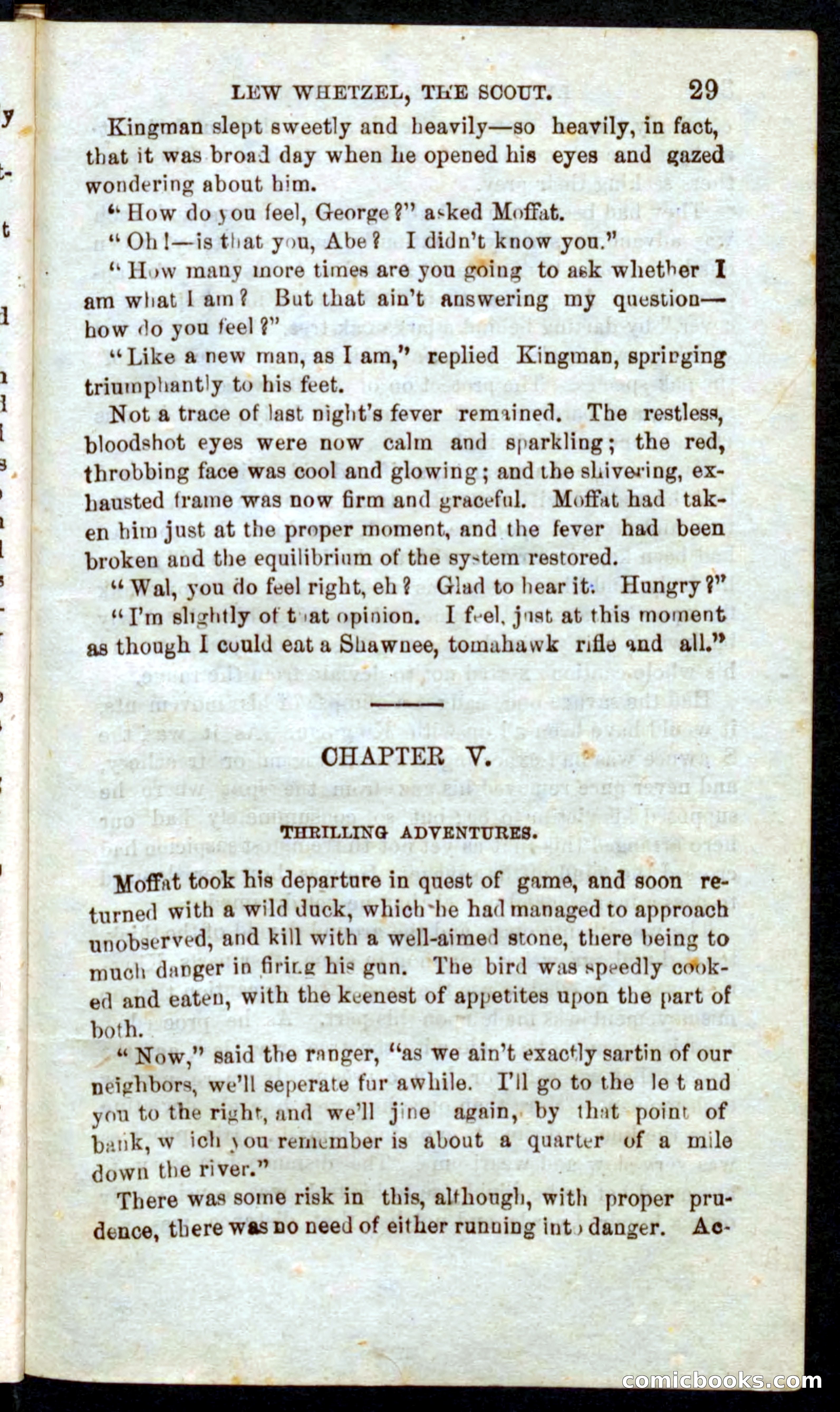 Beadle's Pocket Novels No. 39: Wetzel, the Scout — page 25 of 100