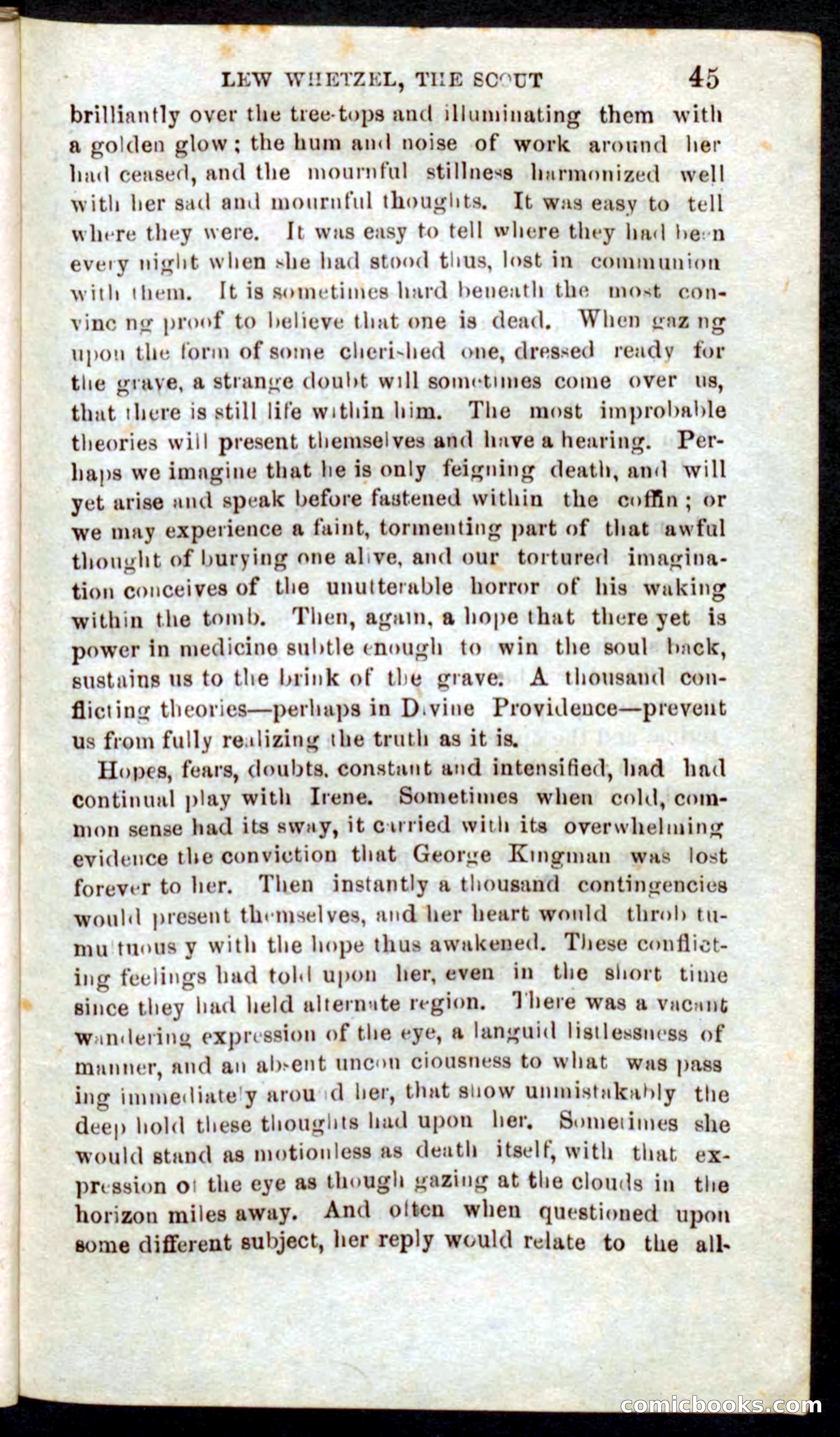 Beadle's Pocket Novels No. 39: Wetzel, the Scout — page 41 of 100