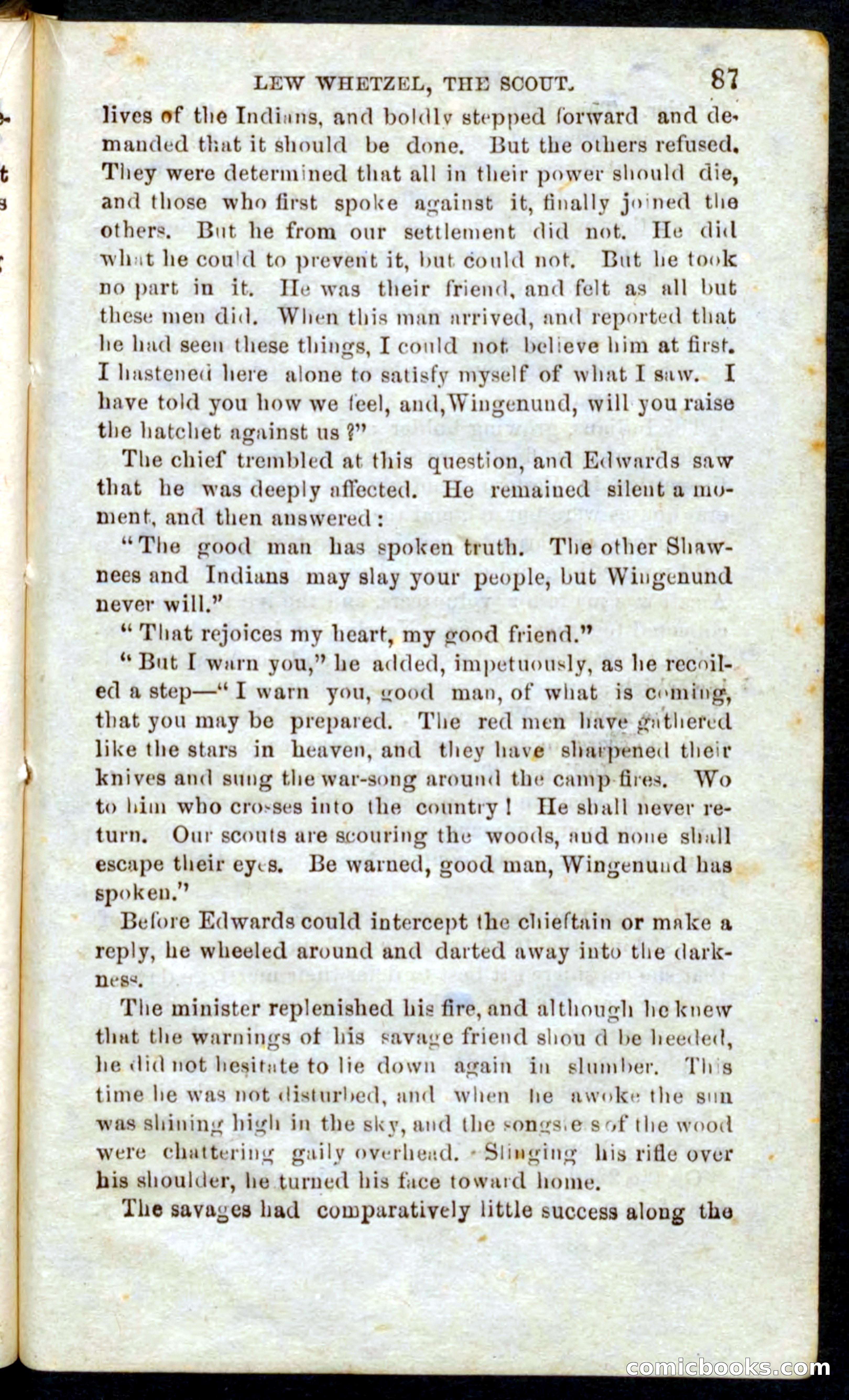 Beadle's Pocket Novels No. 39: Wetzel, the Scout — page 83 of 100
