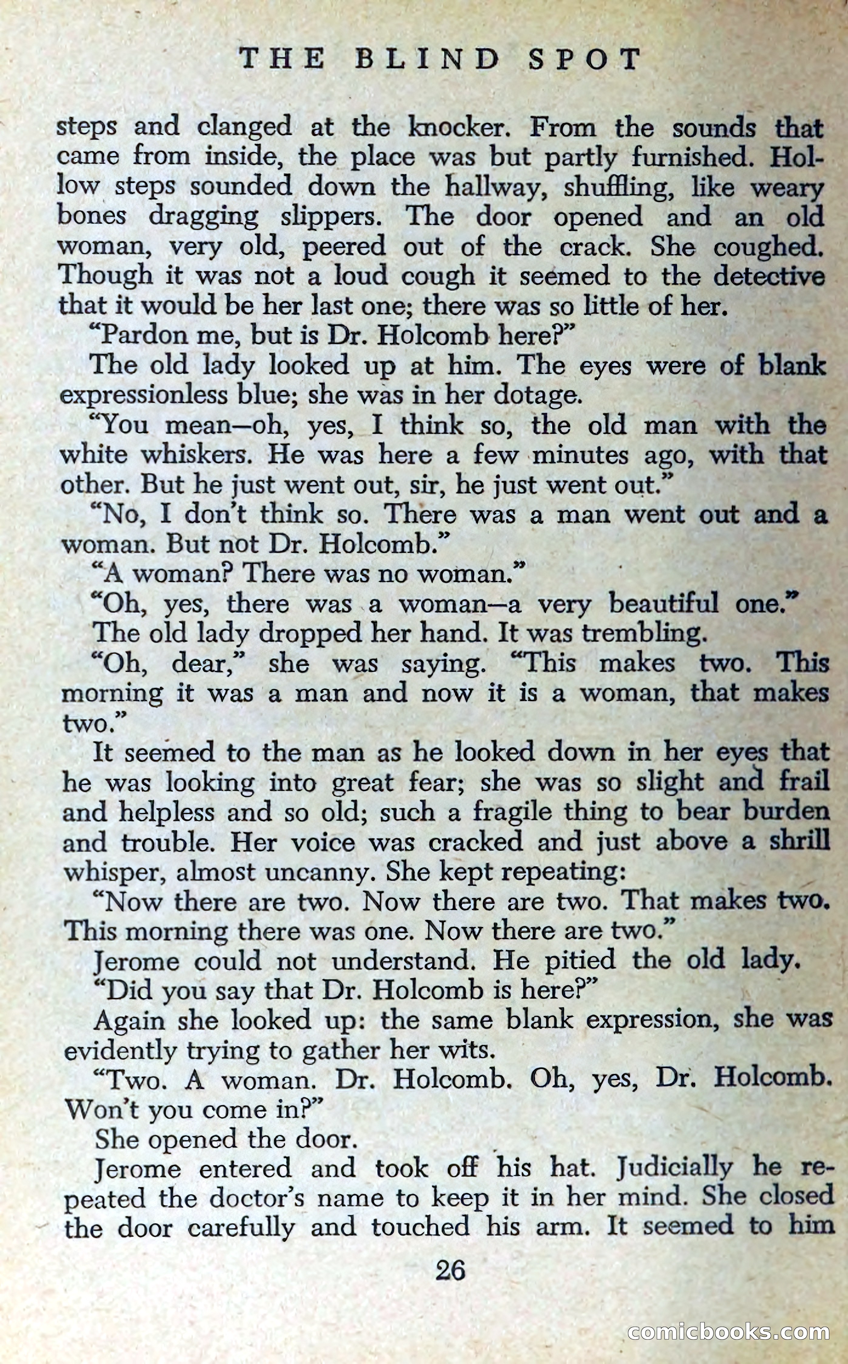 The Blind Spot — page 29 of 326