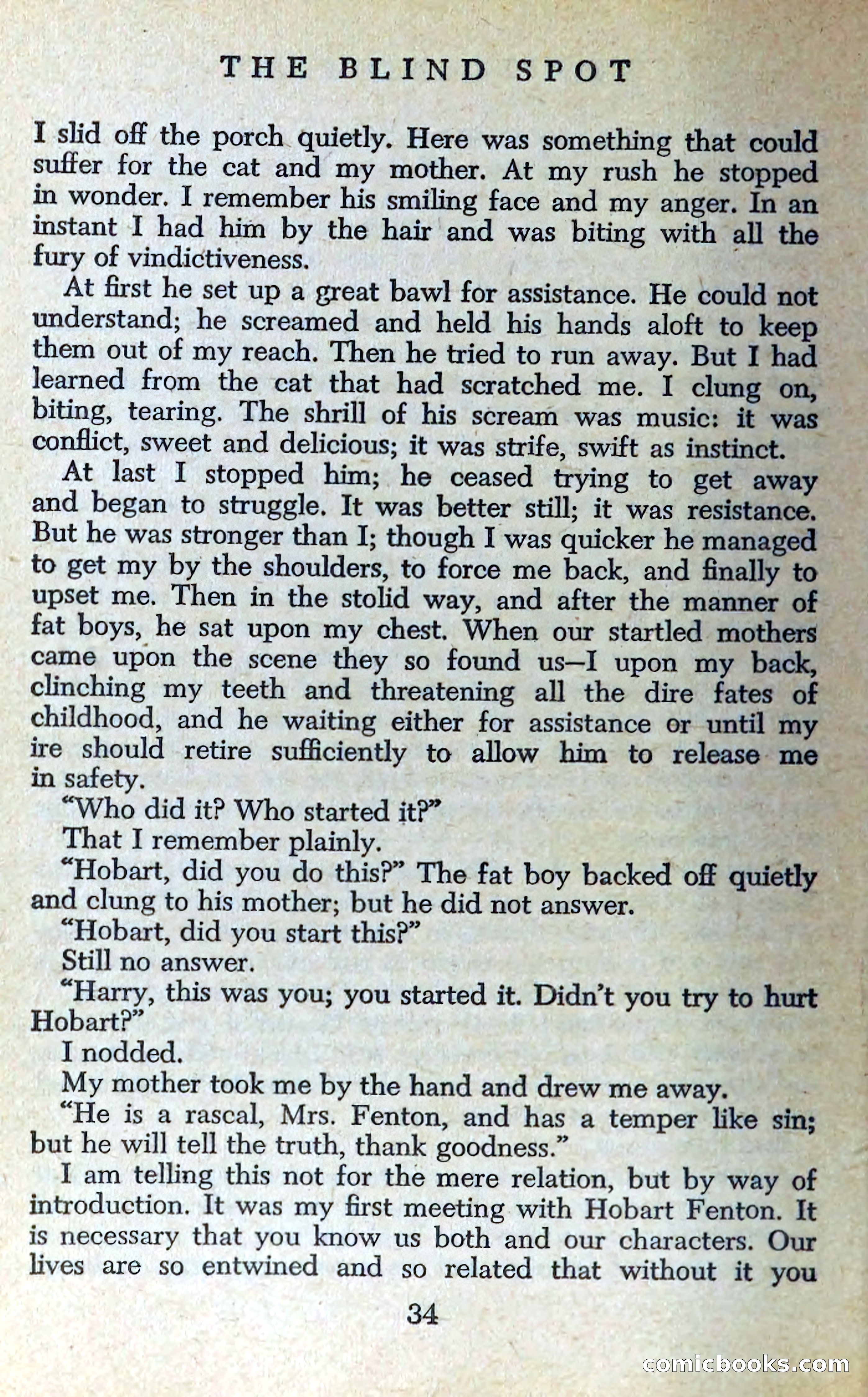 The Blind Spot — page 37 of 326