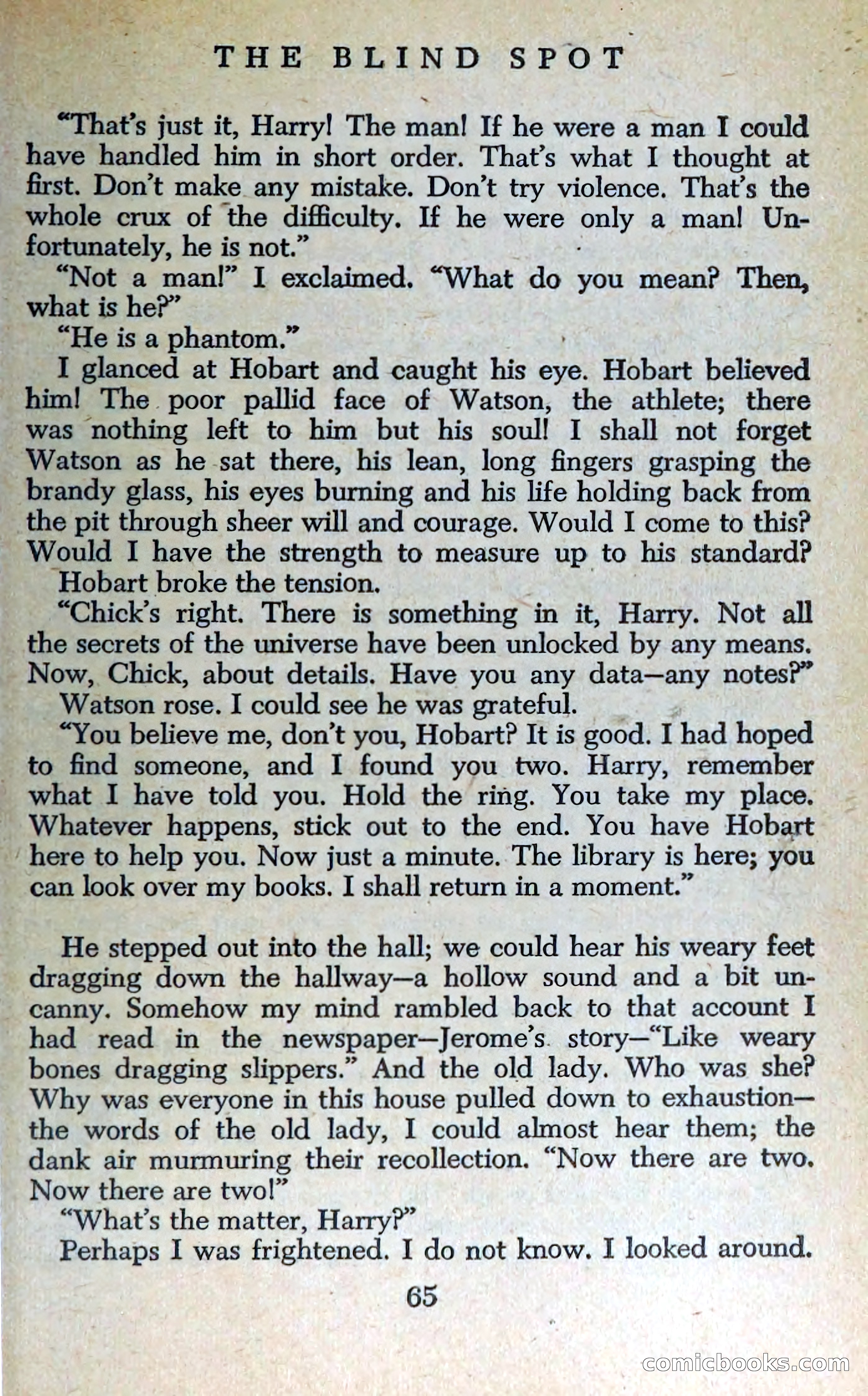 The Blind Spot — page 68 of 326
