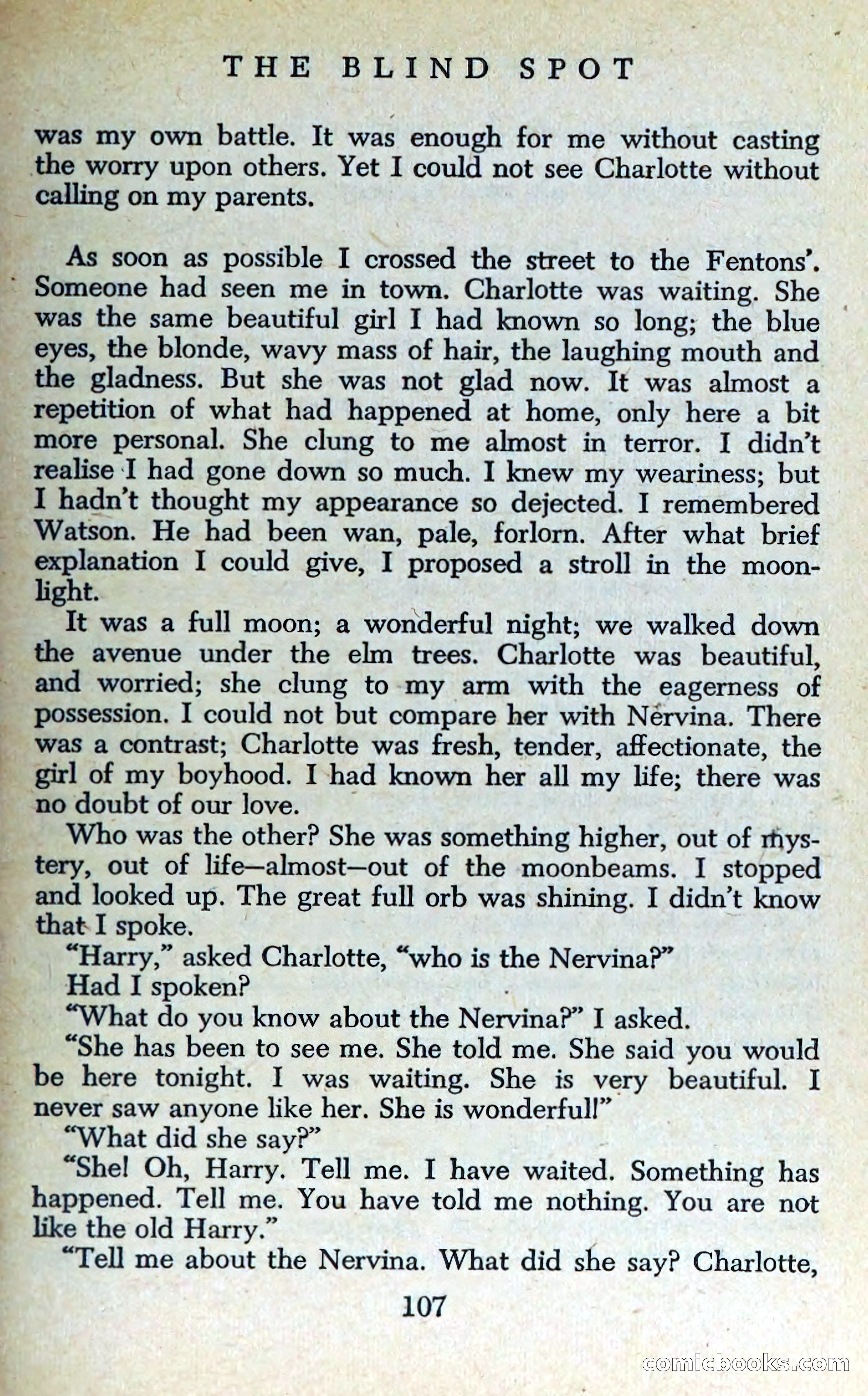 The Blind Spot — page 110 of 326