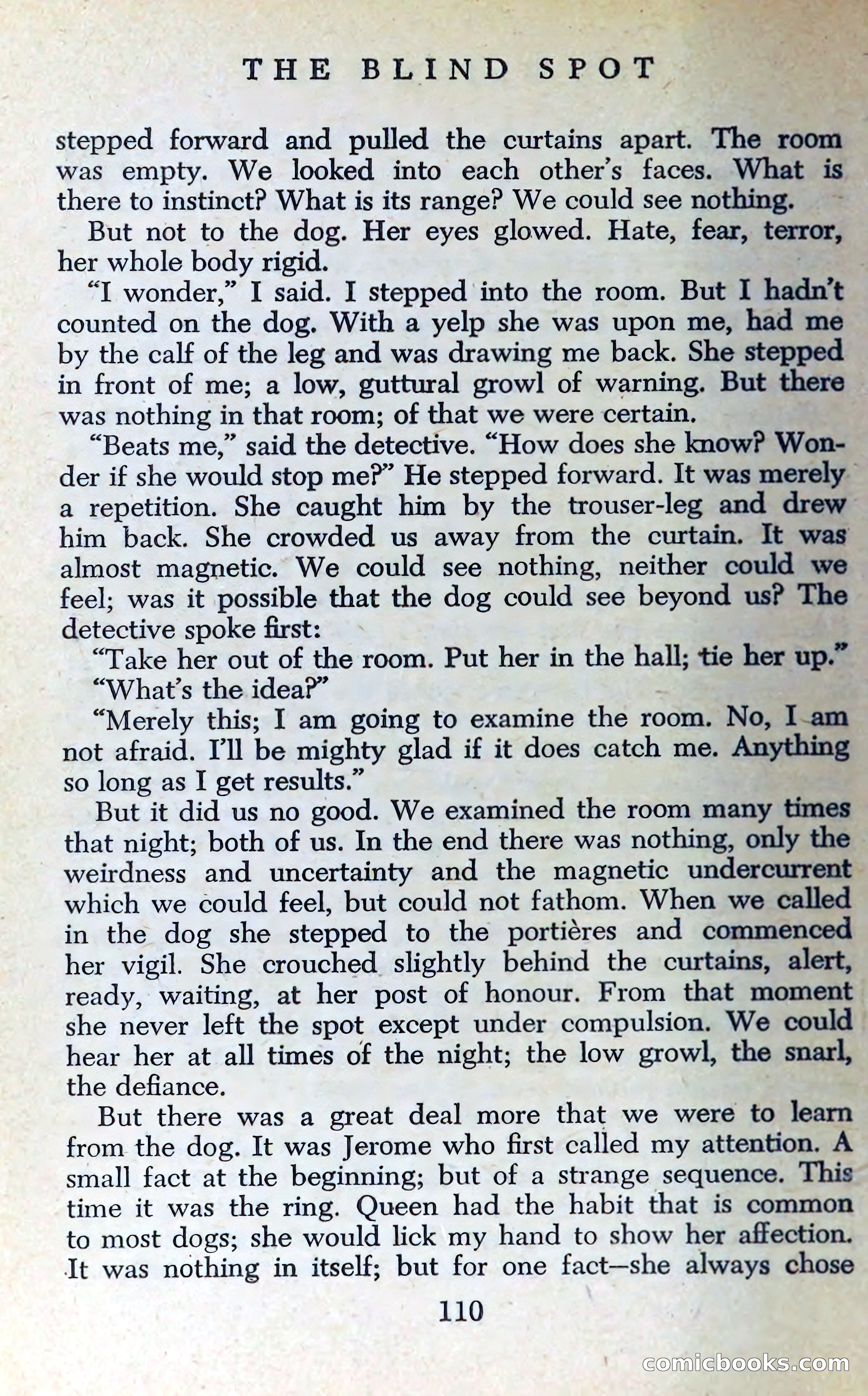 The Blind Spot — page 113 of 326