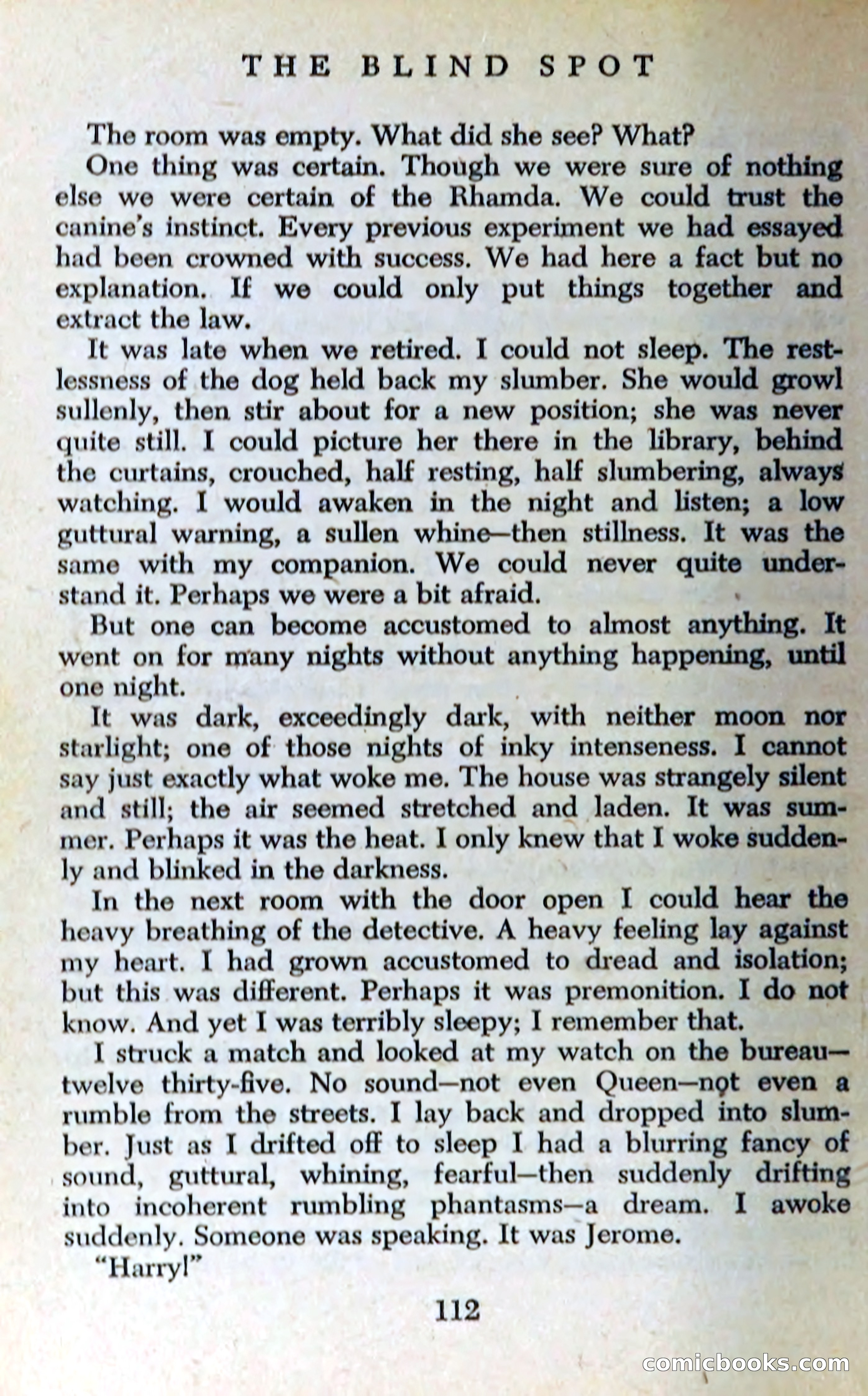 The Blind Spot — page 115 of 326
