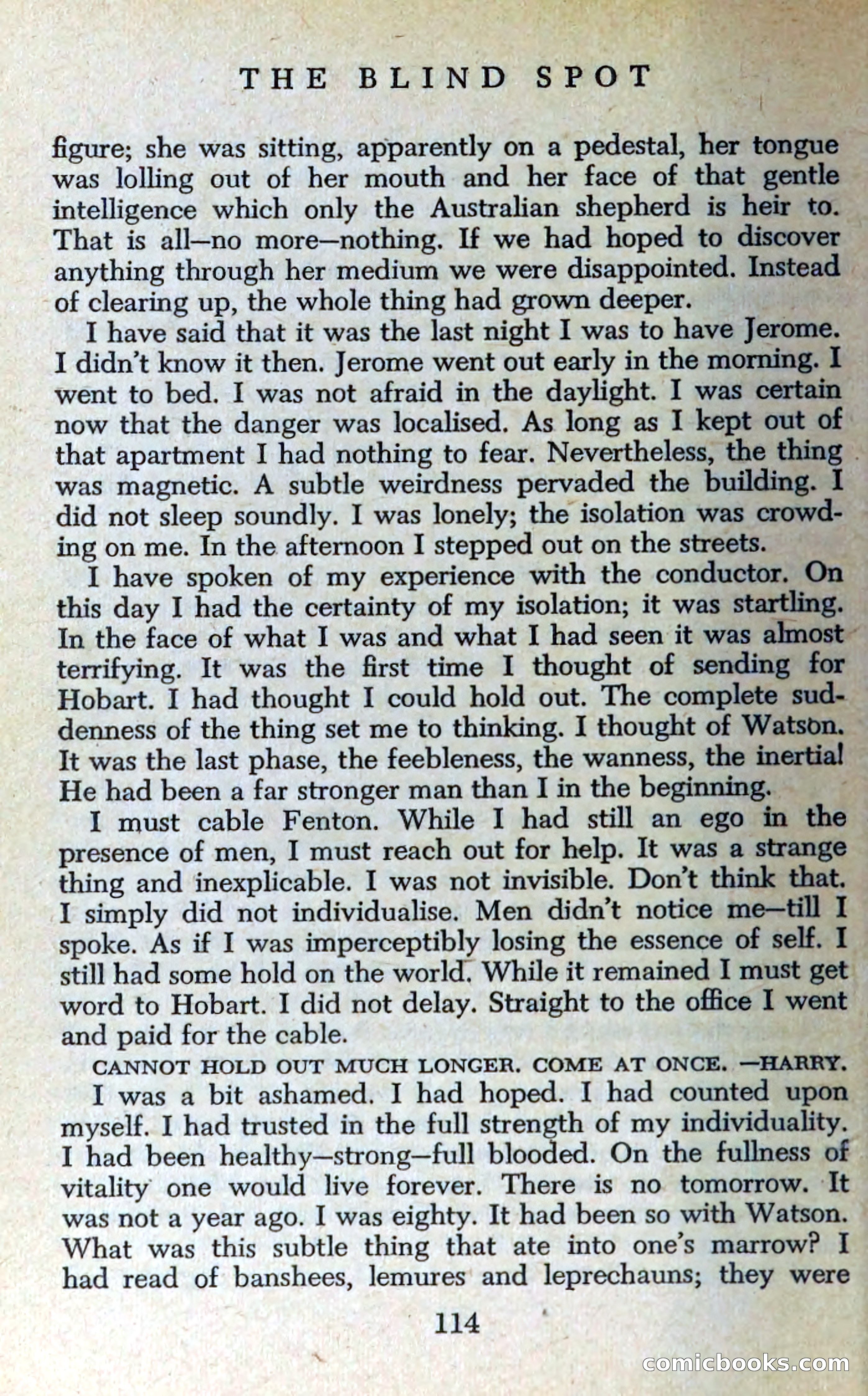 The Blind Spot — page 117 of 326