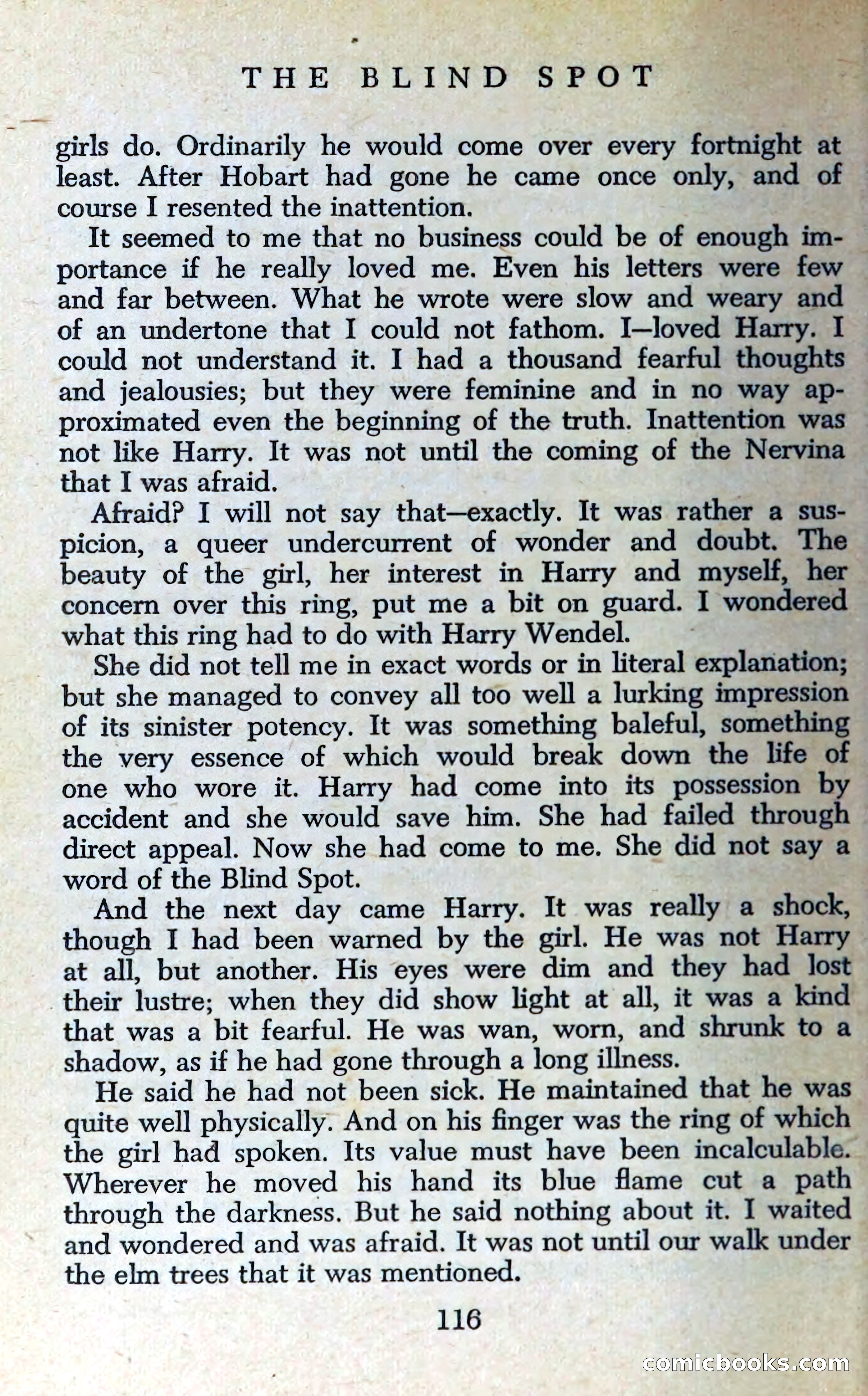 The Blind Spot — page 119 of 326