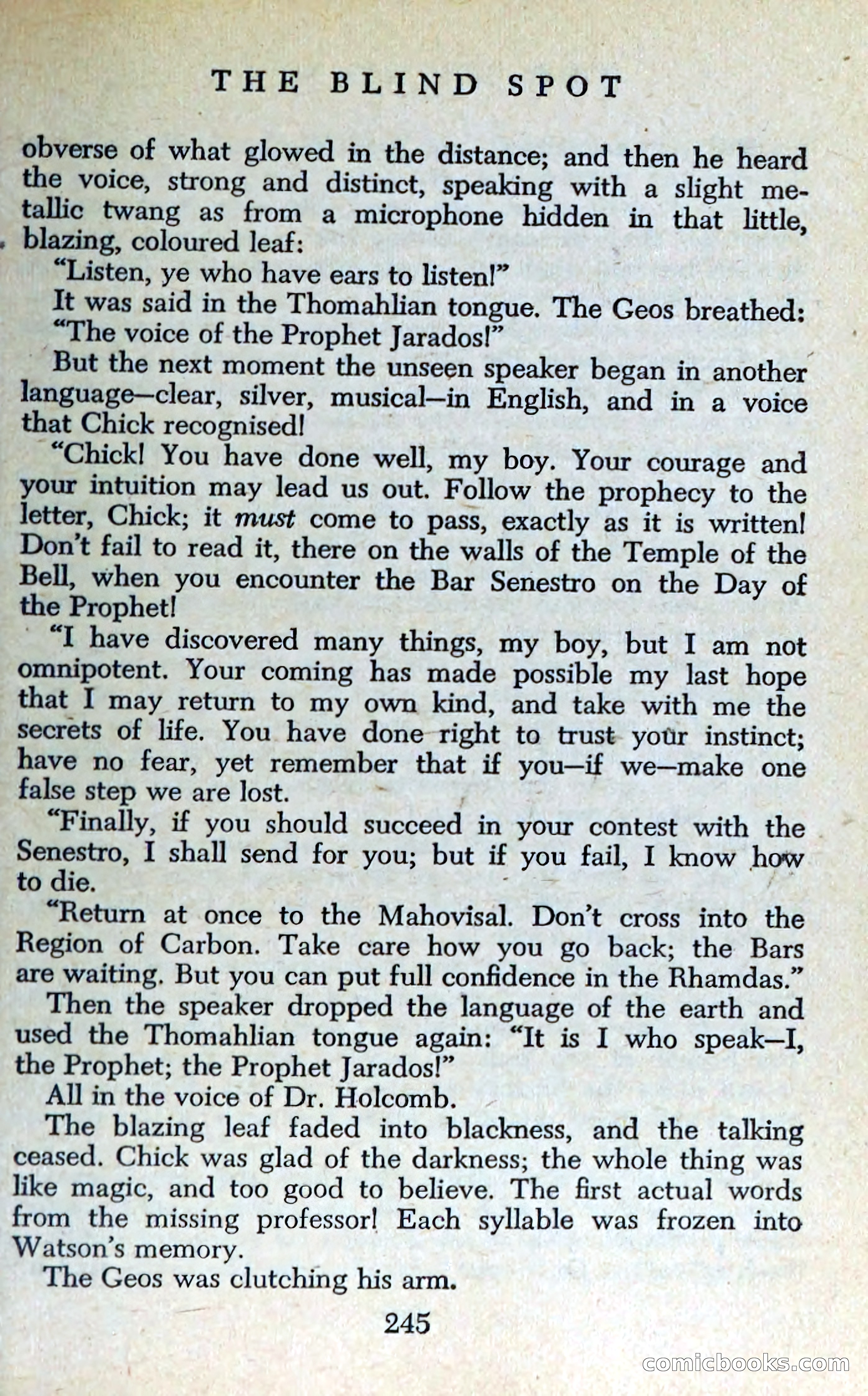 The Blind Spot — page 248 of 326