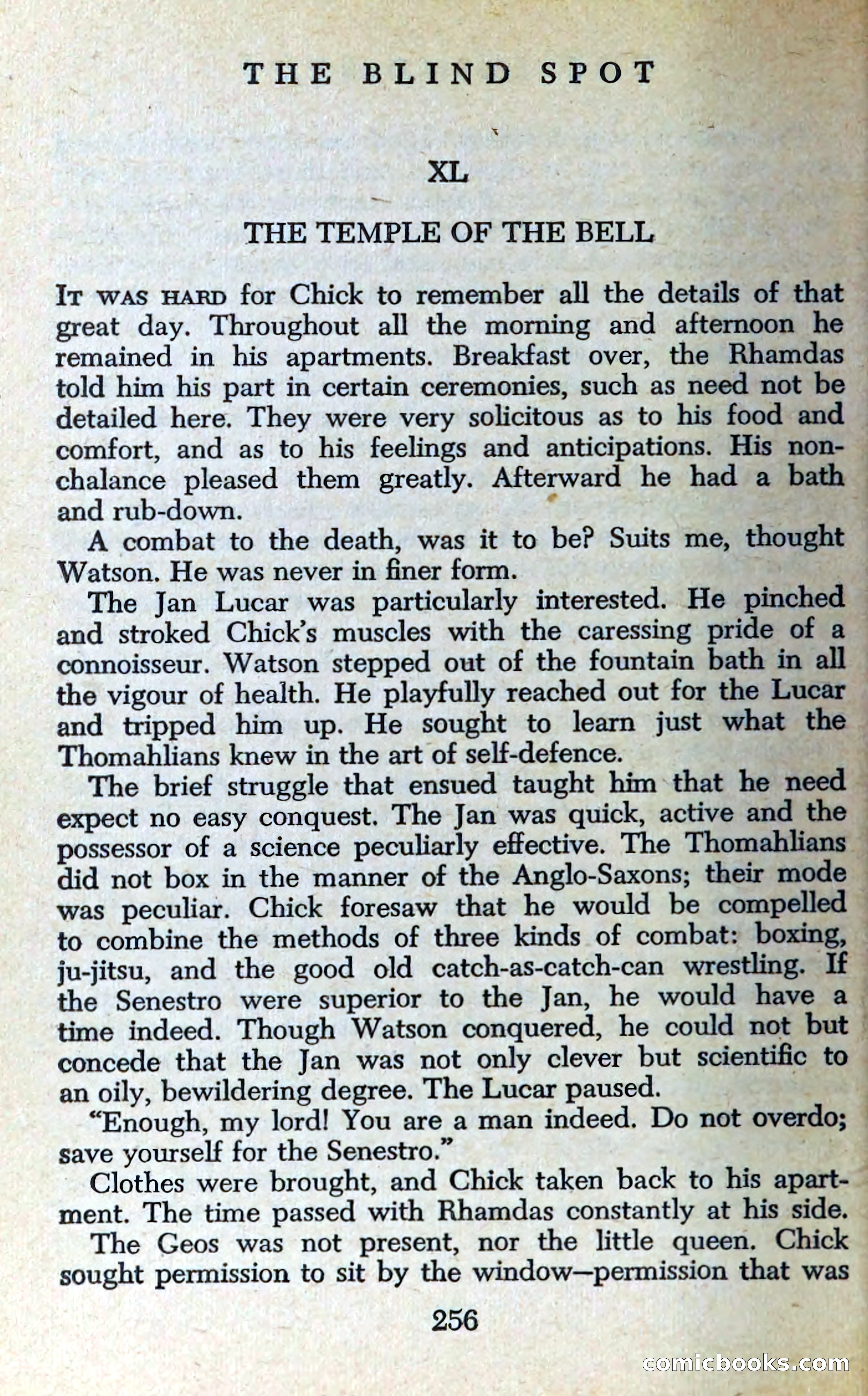 The Blind Spot — page 259 of 326