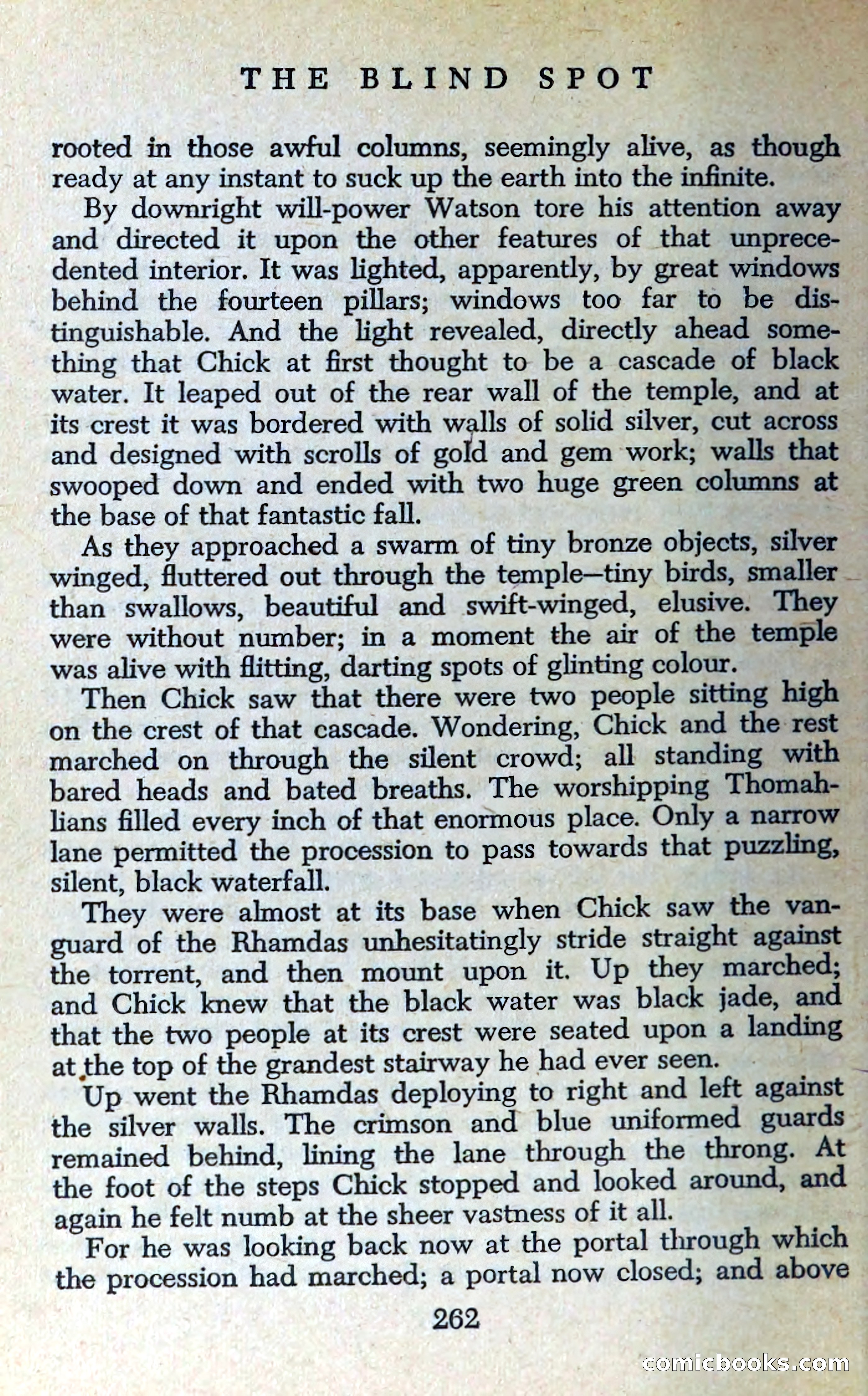 The Blind Spot — page 265 of 326