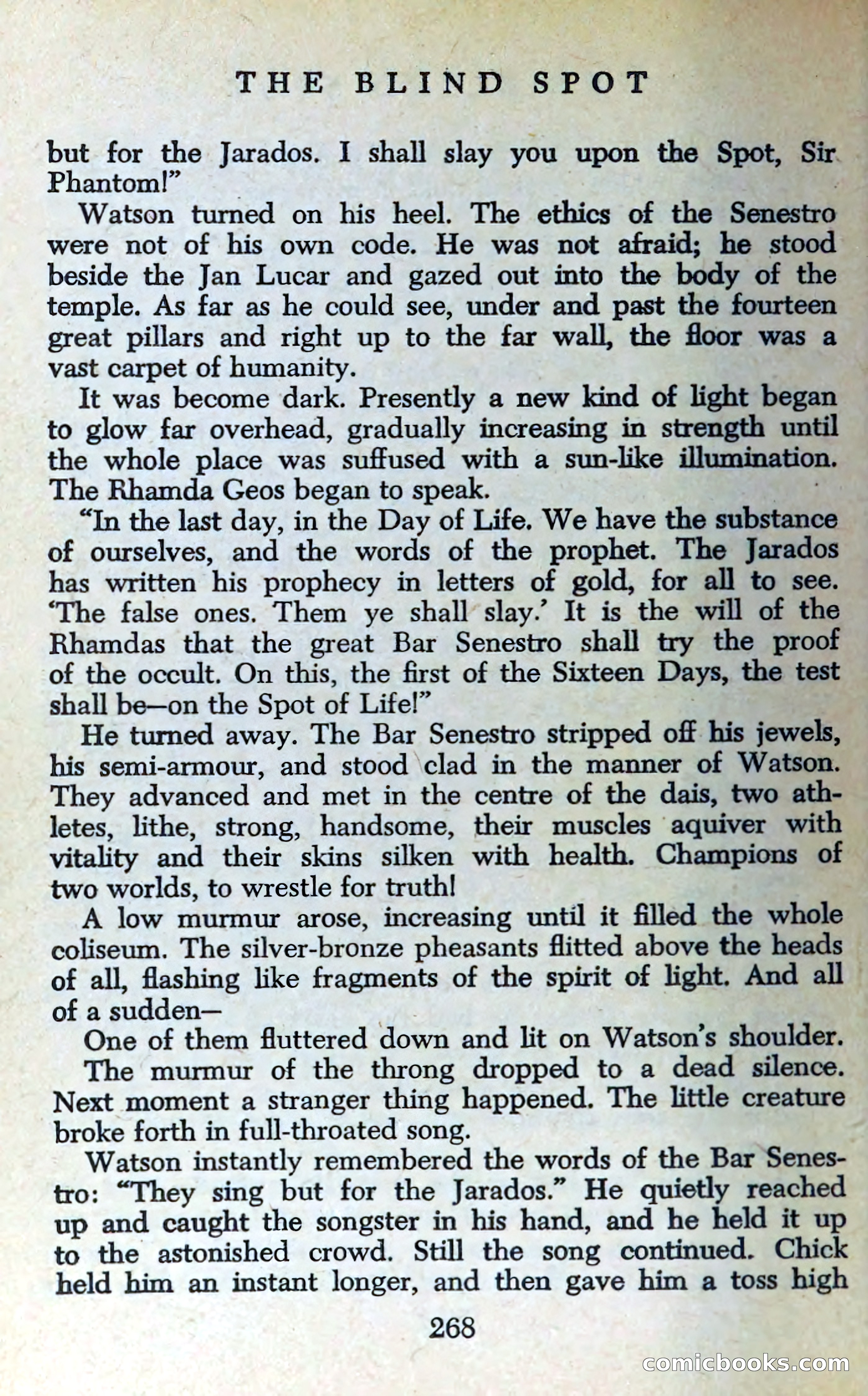The Blind Spot — page 271 of 326