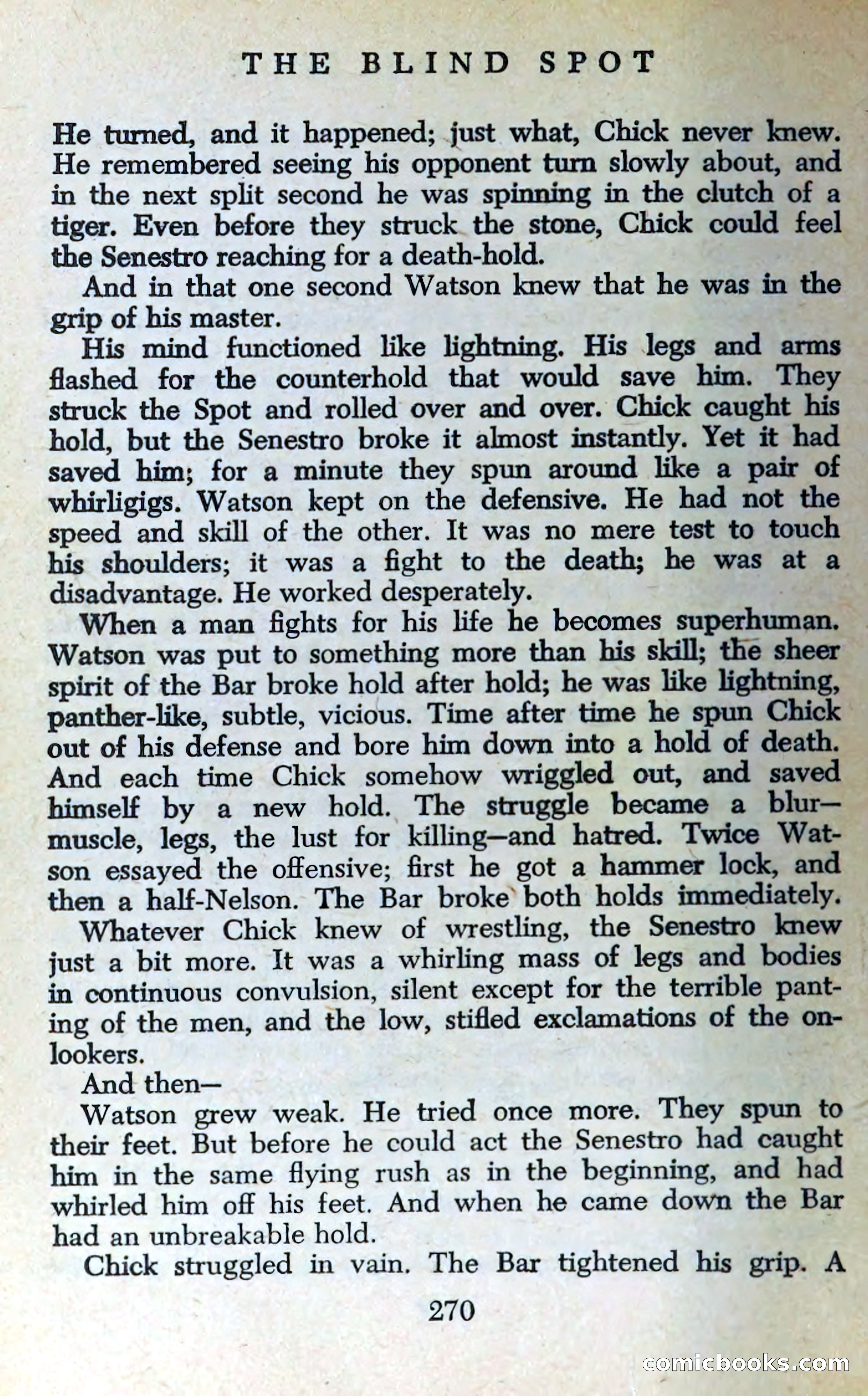The Blind Spot — page 273 of 326