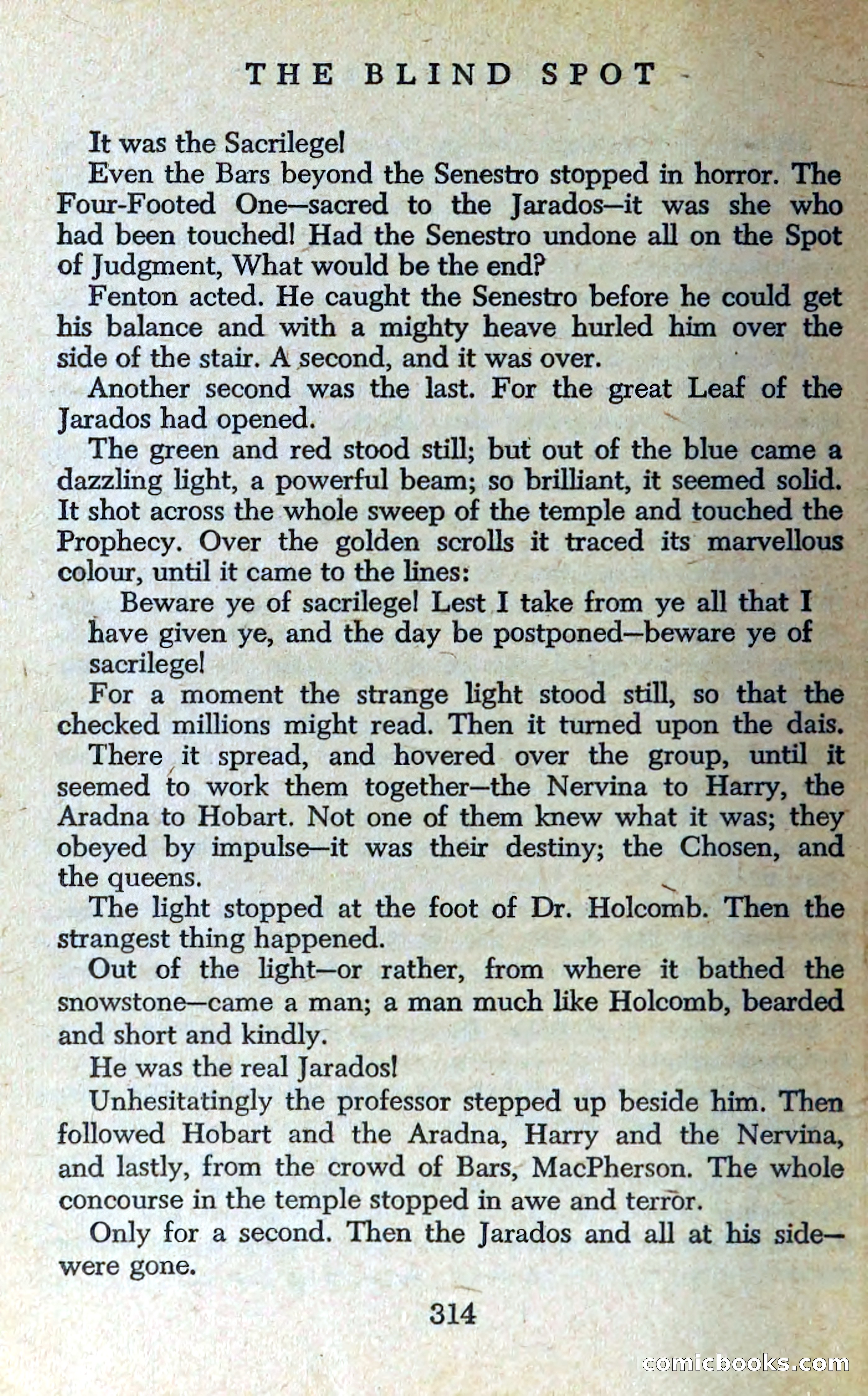 The Blind Spot — page 317 of 326