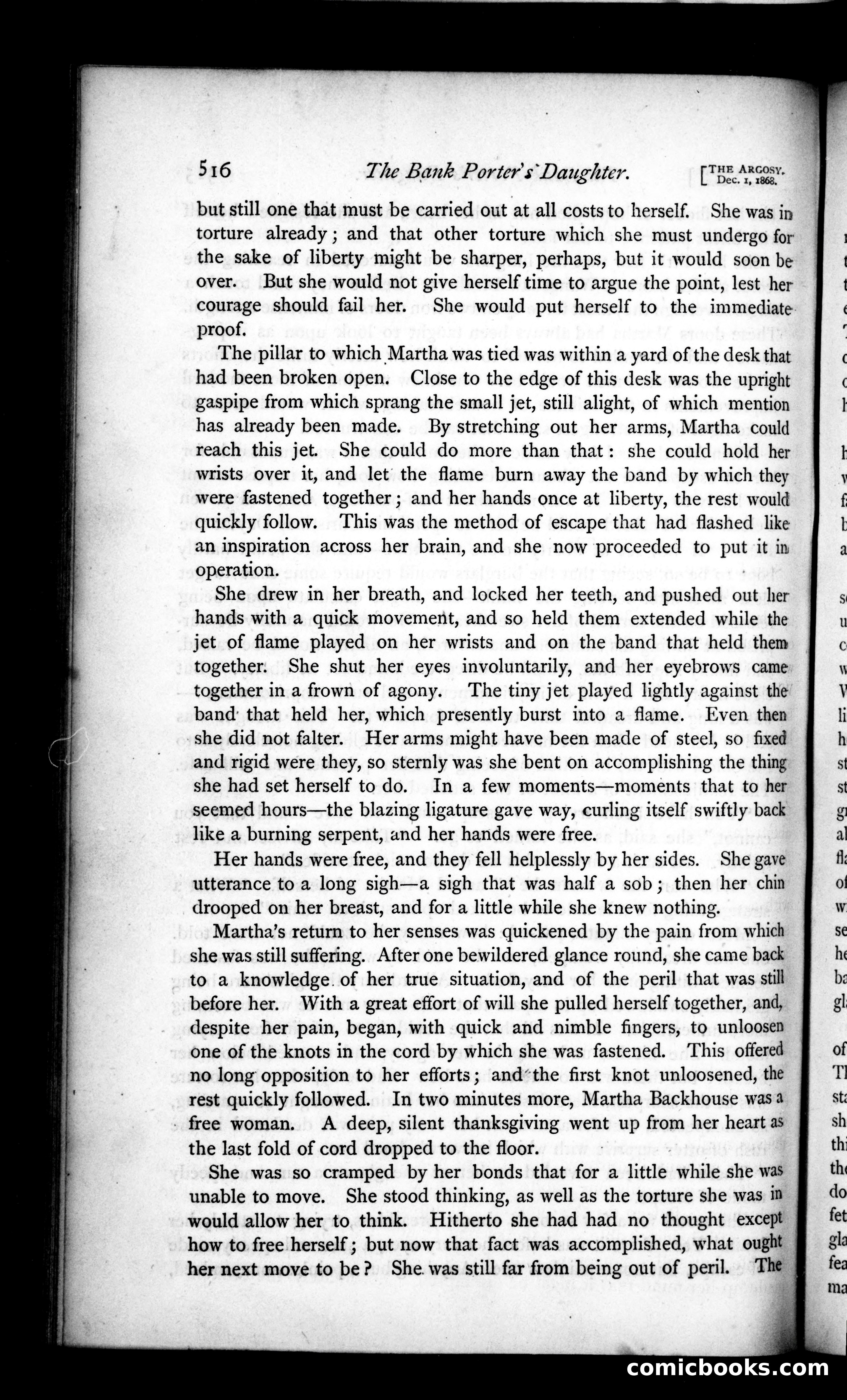 The Argosy, Vol. 6 — page 36 of 121
