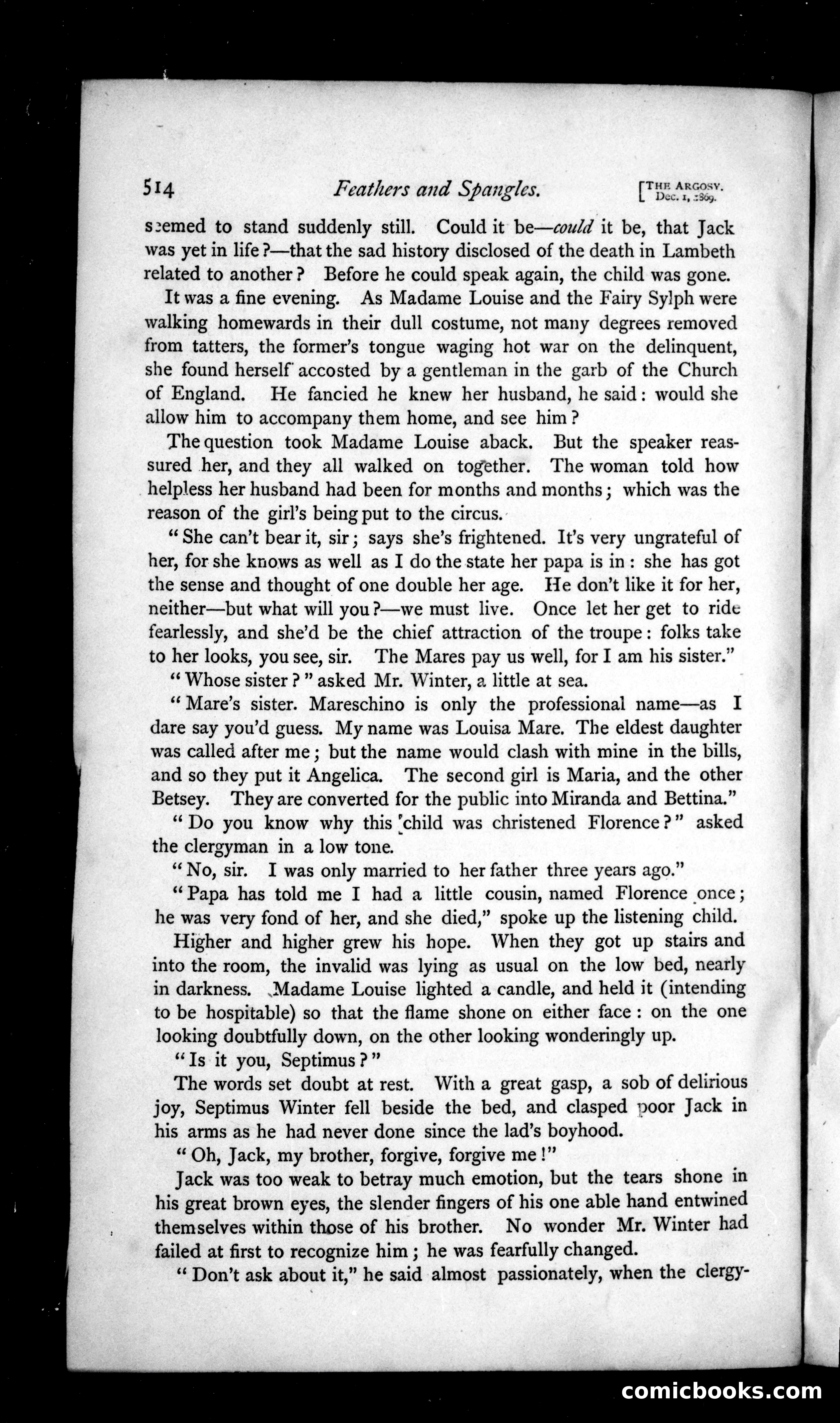 The Argosy, Vol. 8 — page 118 of 121