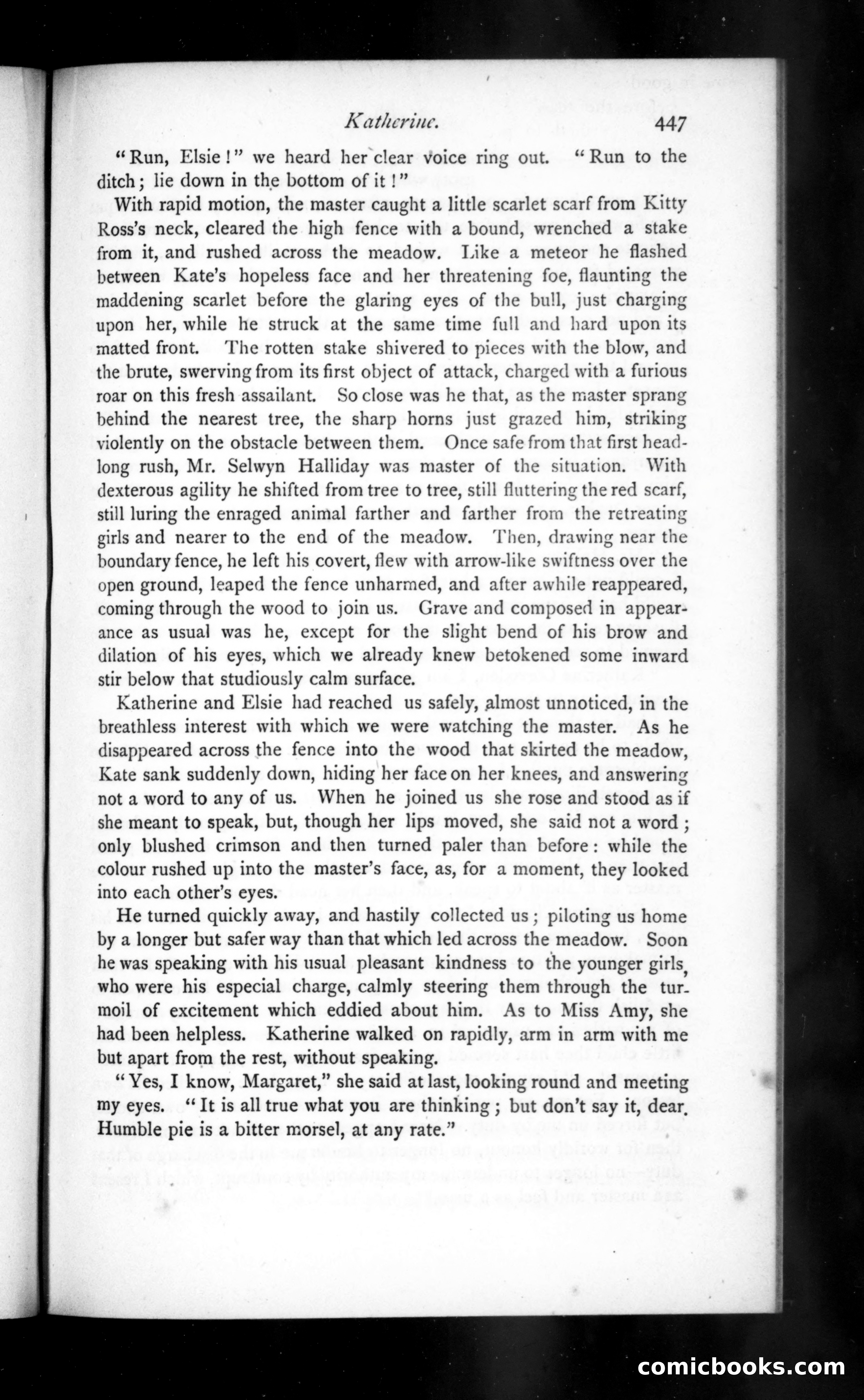The Argosy, Vol. 13 — page 47 of 77