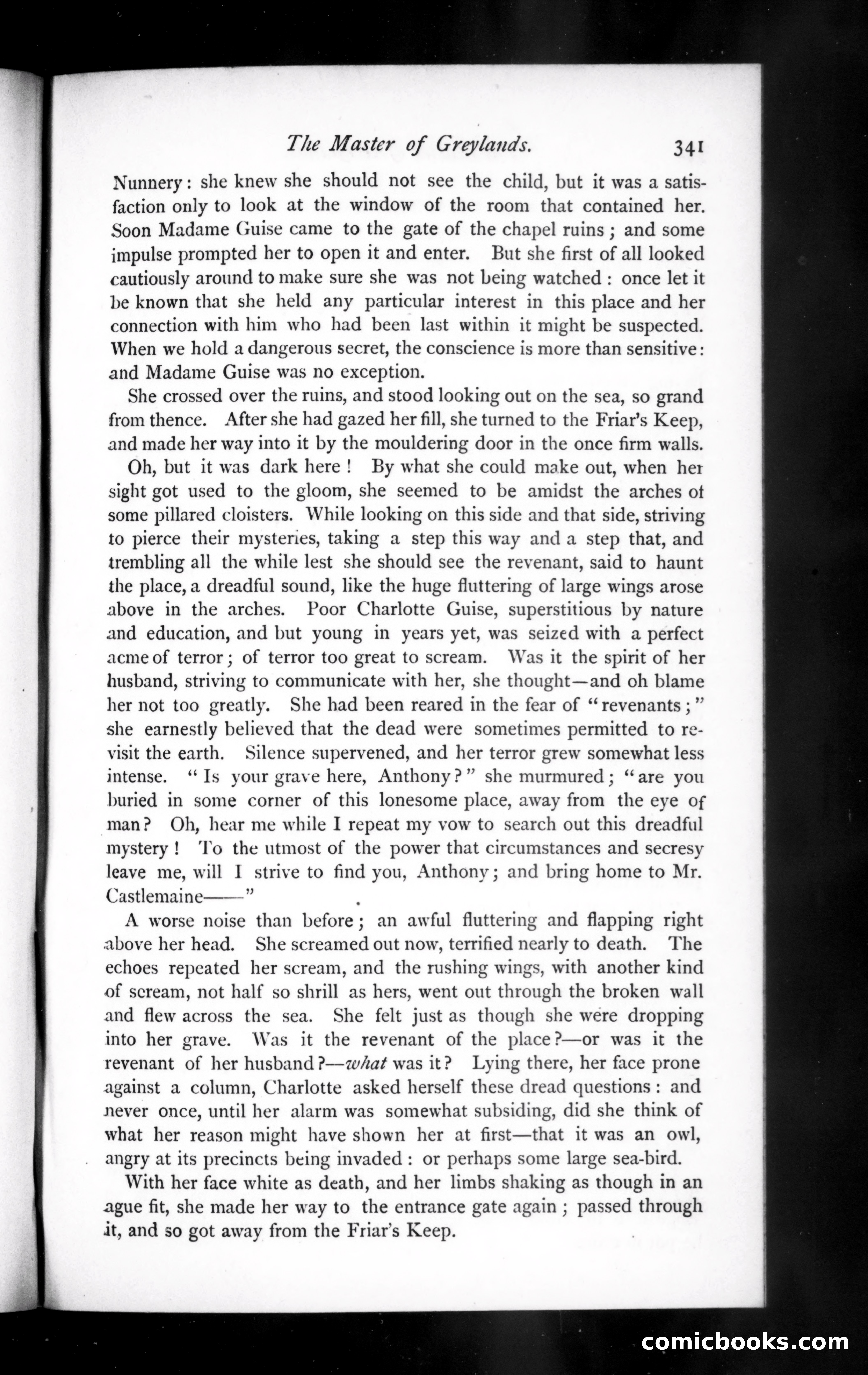 The Argosy, Vol. 15 — page 21 of 82
