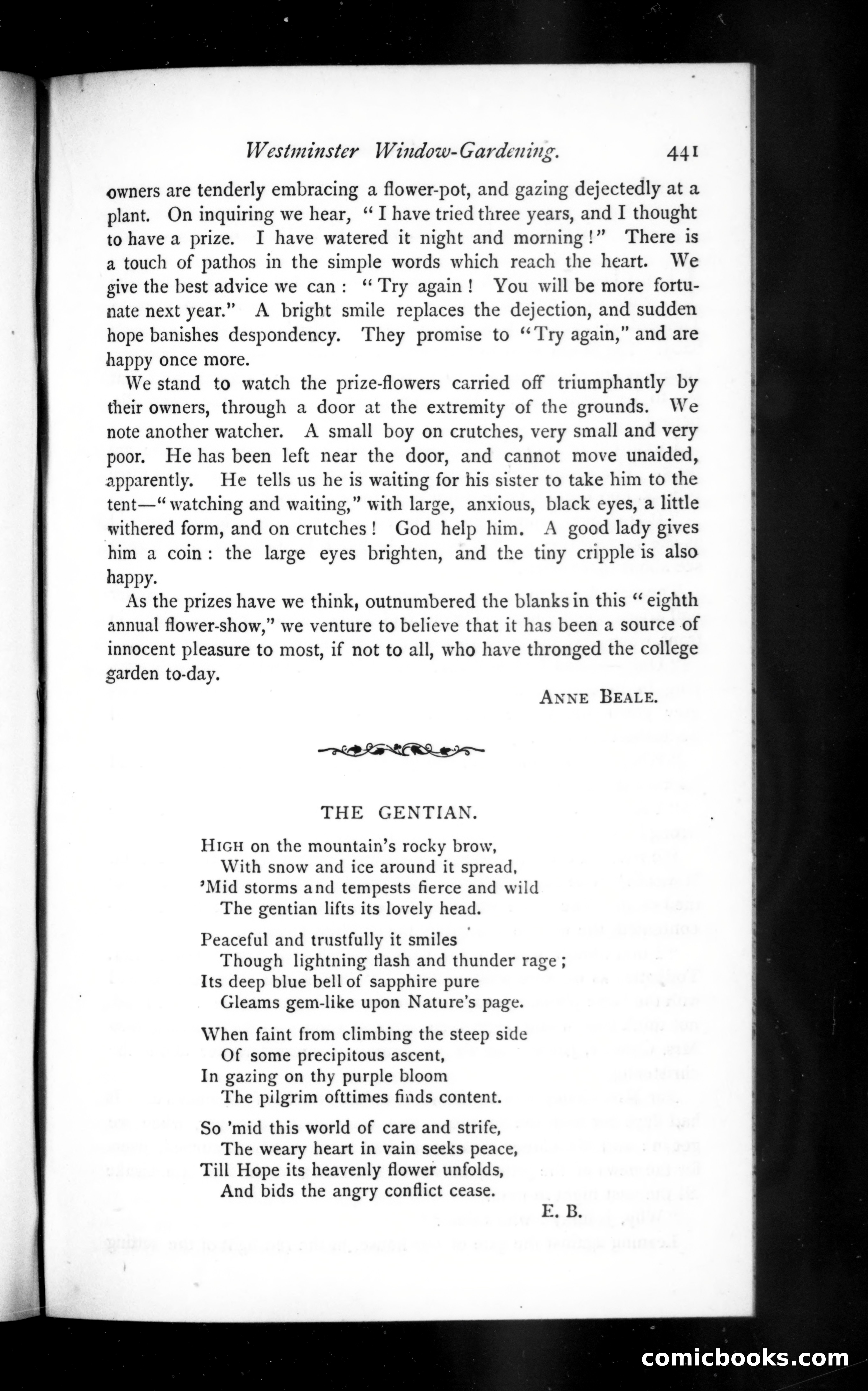 The Argosy, Vol. XVI — page 41 of 119