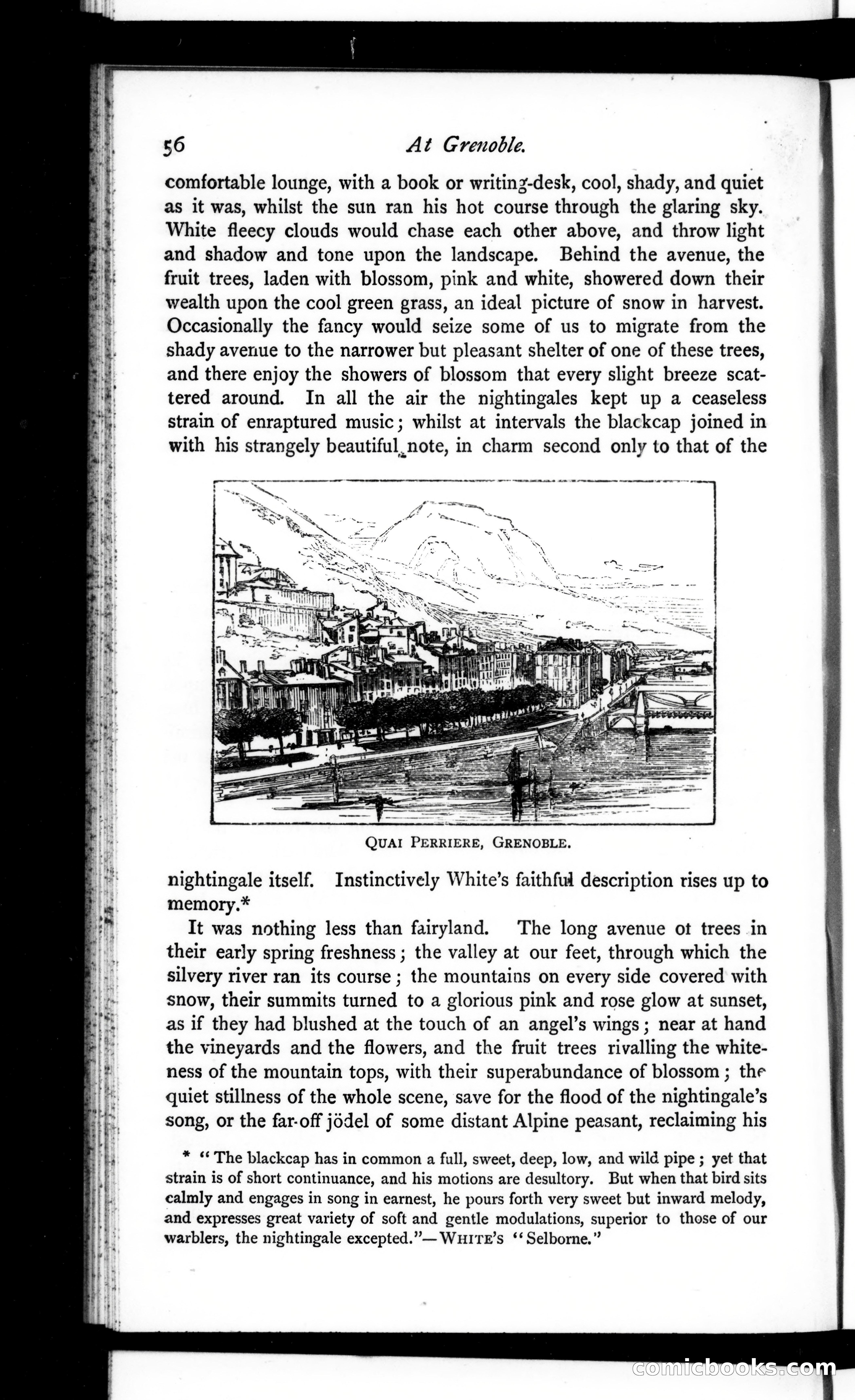 The Argosy, Vol. 21 — page 56 of 82
