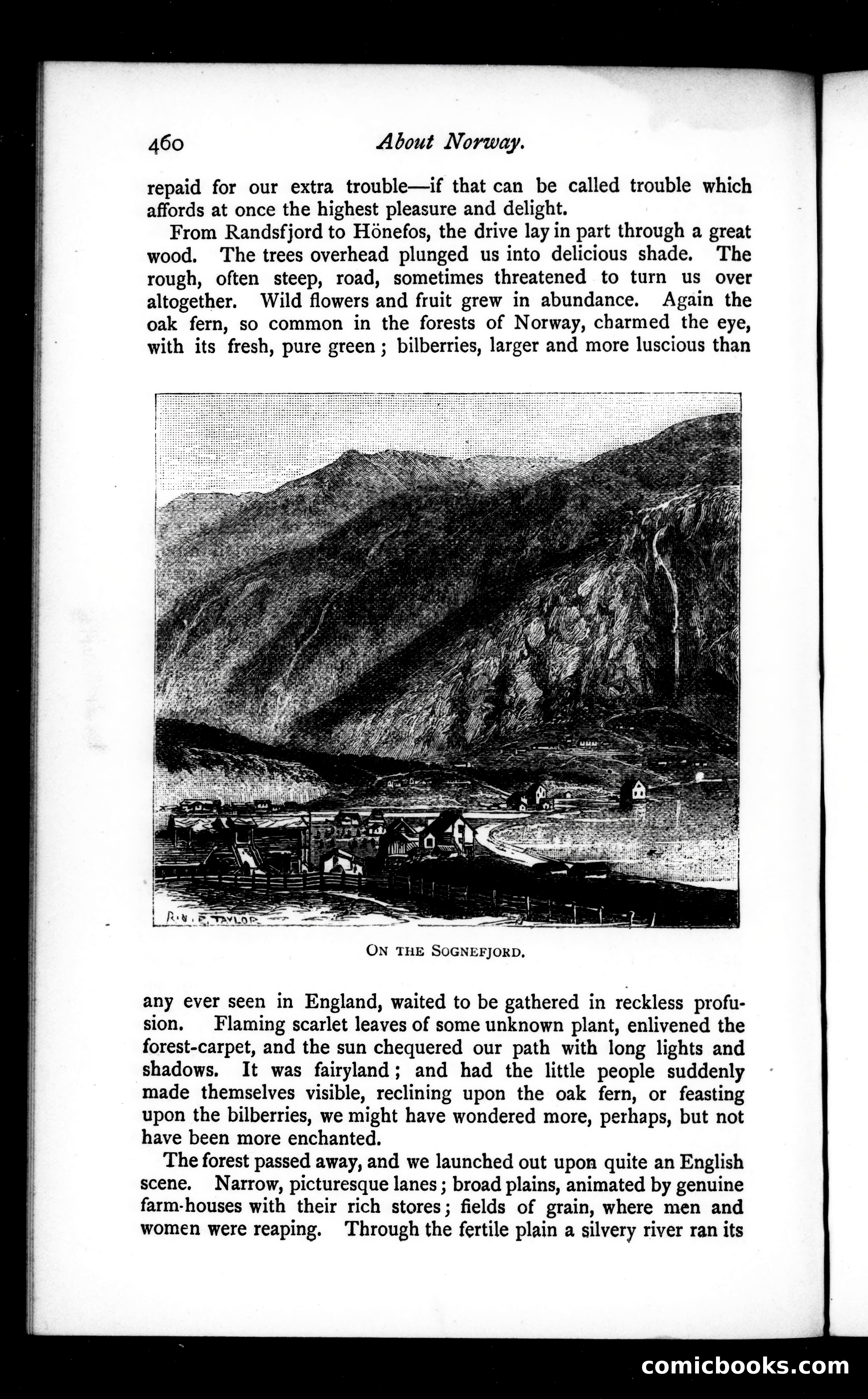 The Argosy, Vol. 30 — page 62 of 121