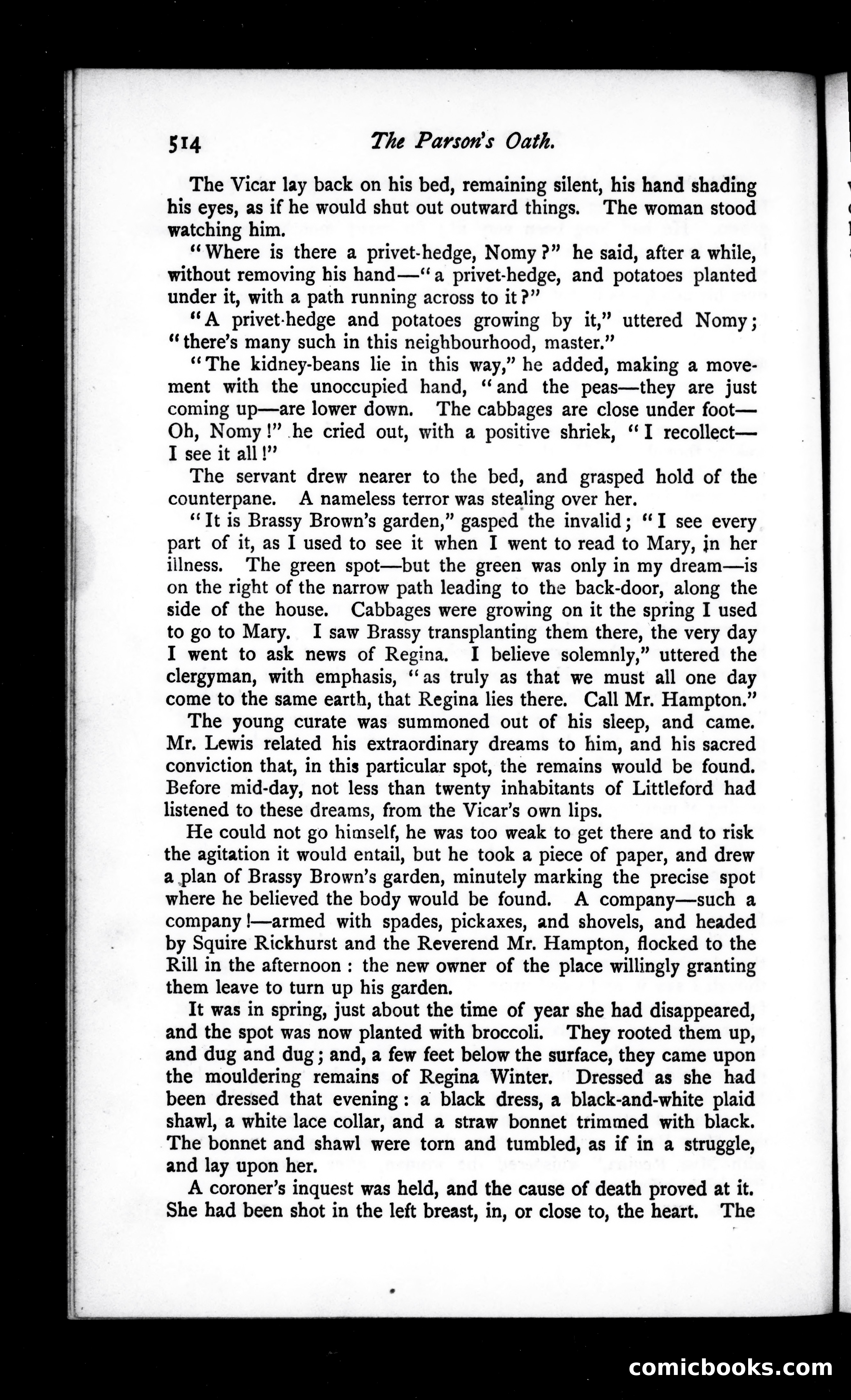 The Argosy, Vol. 30 — page 118 of 121