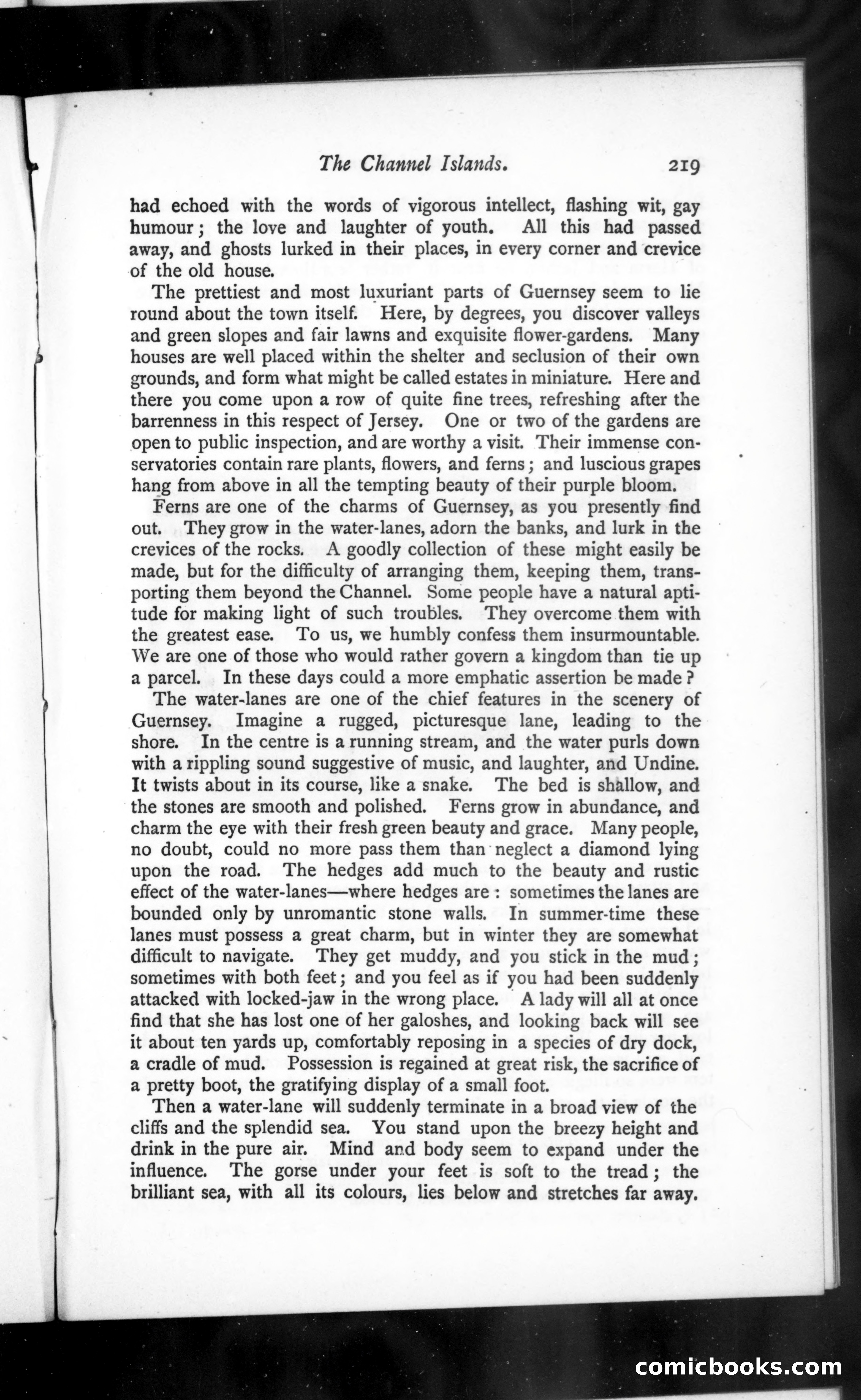 The Argosy, Vol. 37 — page 51 of 82