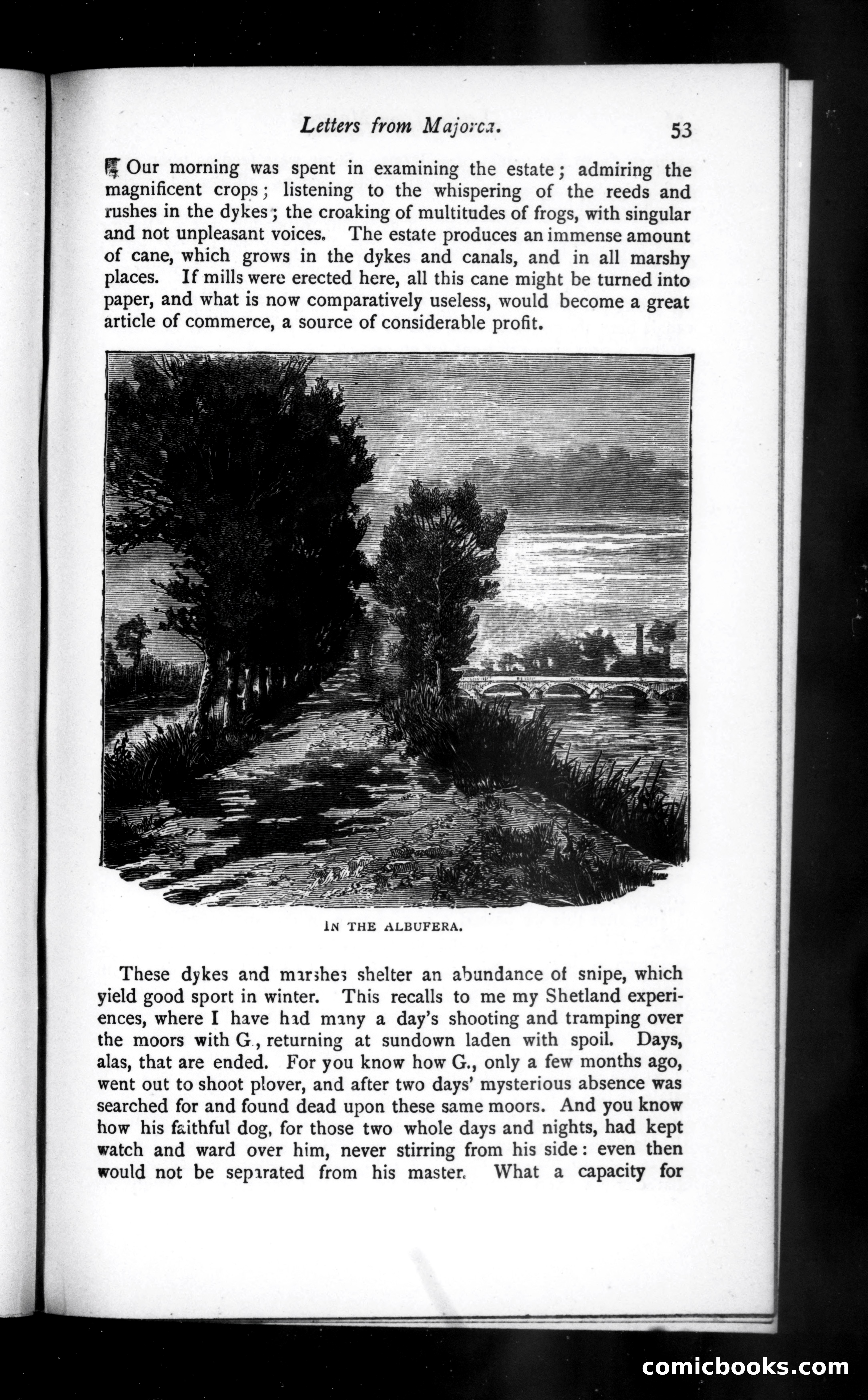 The Argosy, Vol. 45 — page 55 of 88
