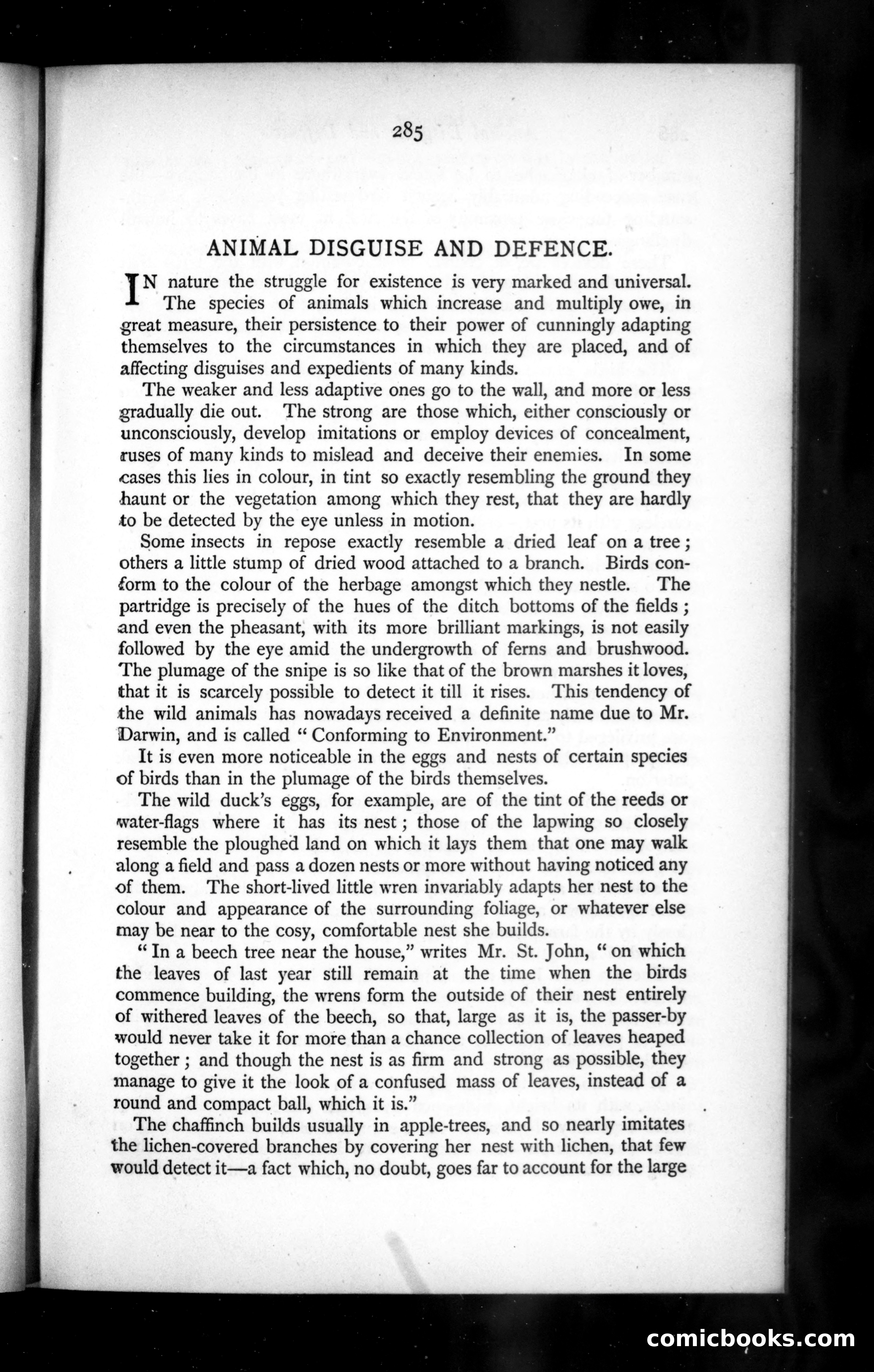 The Argosy, Vol. XLIX — page 21 of 90