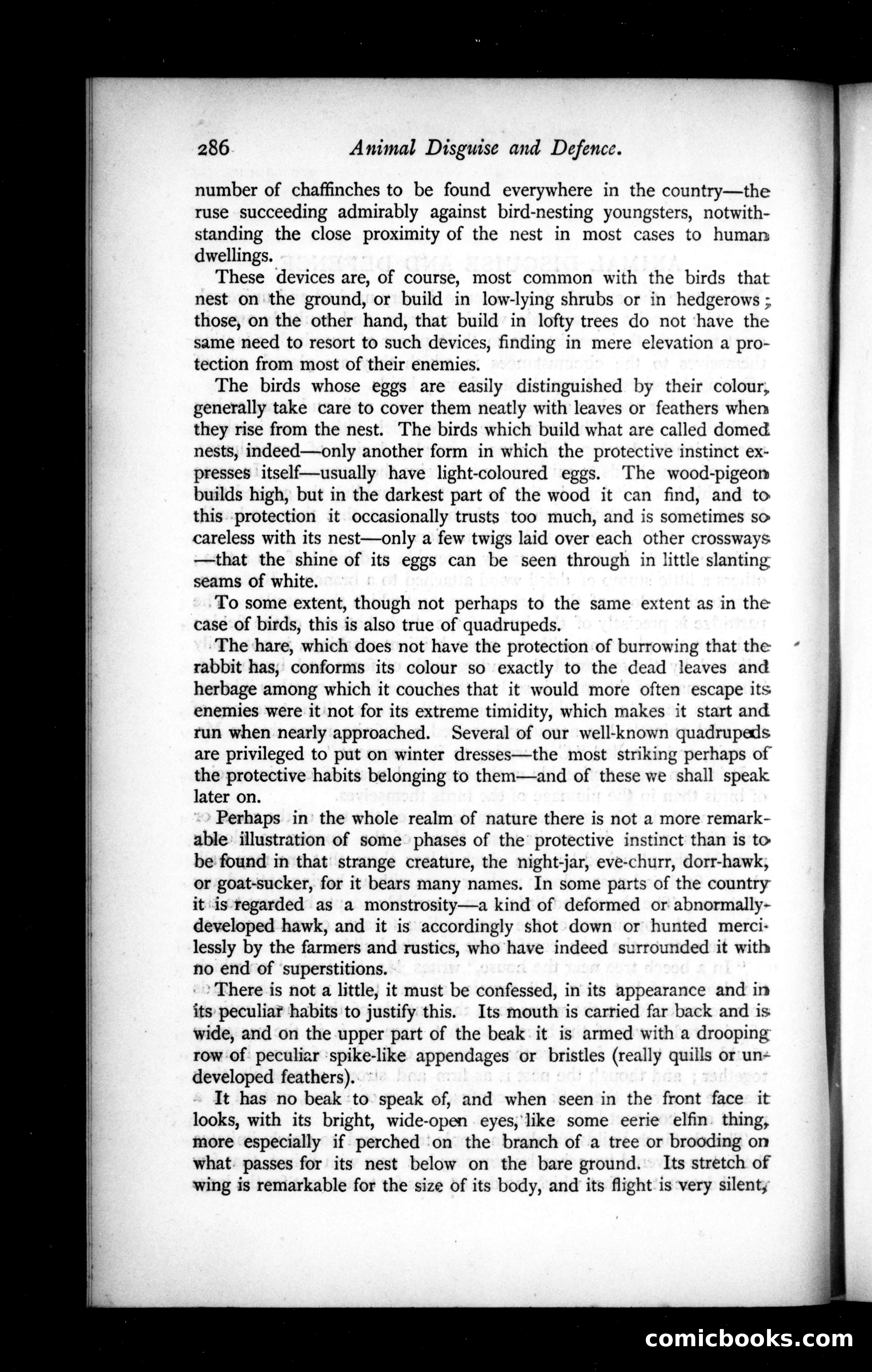 The Argosy, Vol. XLIX — page 22 of 90