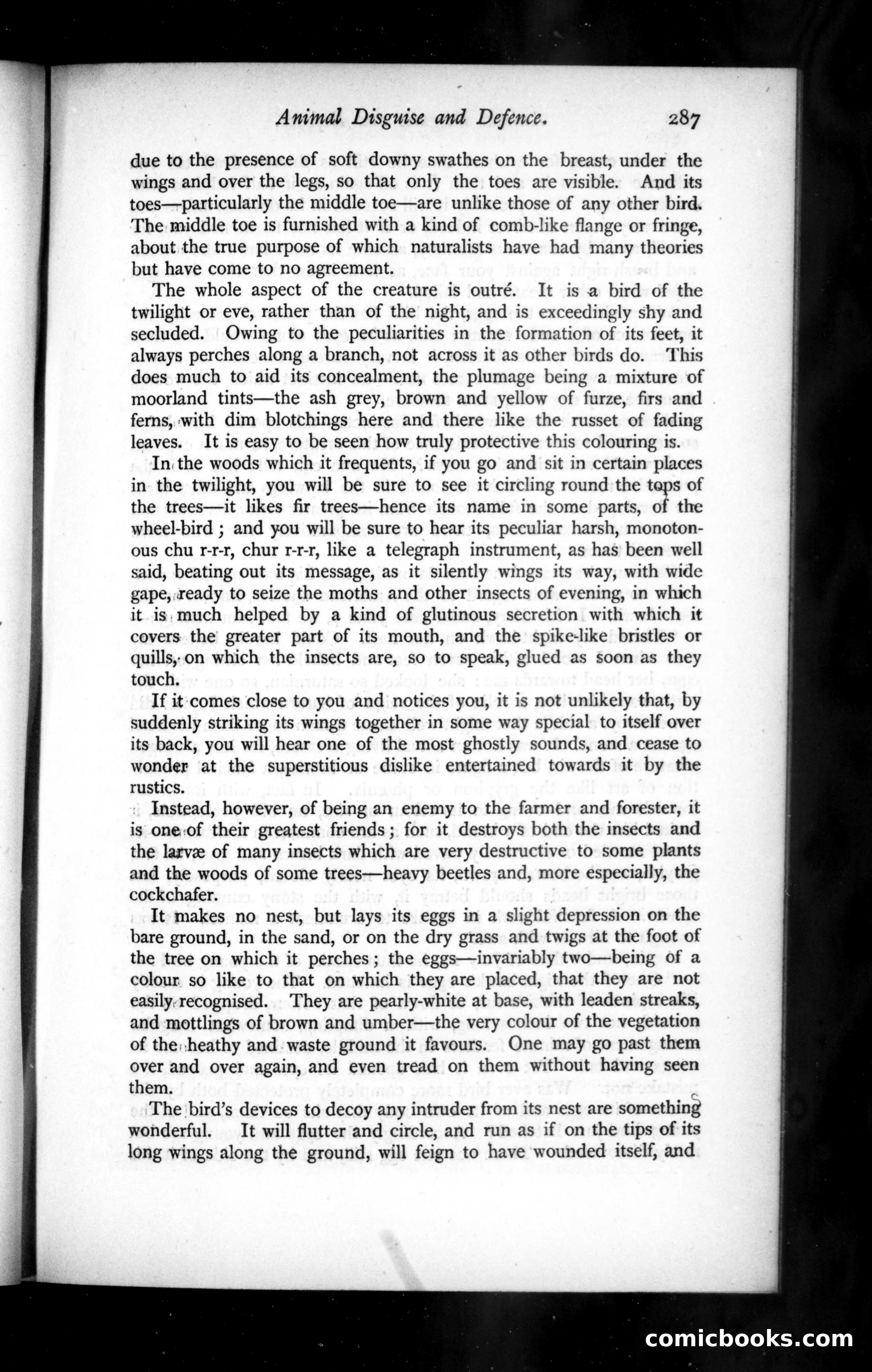 The Argosy, Vol. XLIX — page 23 of 90