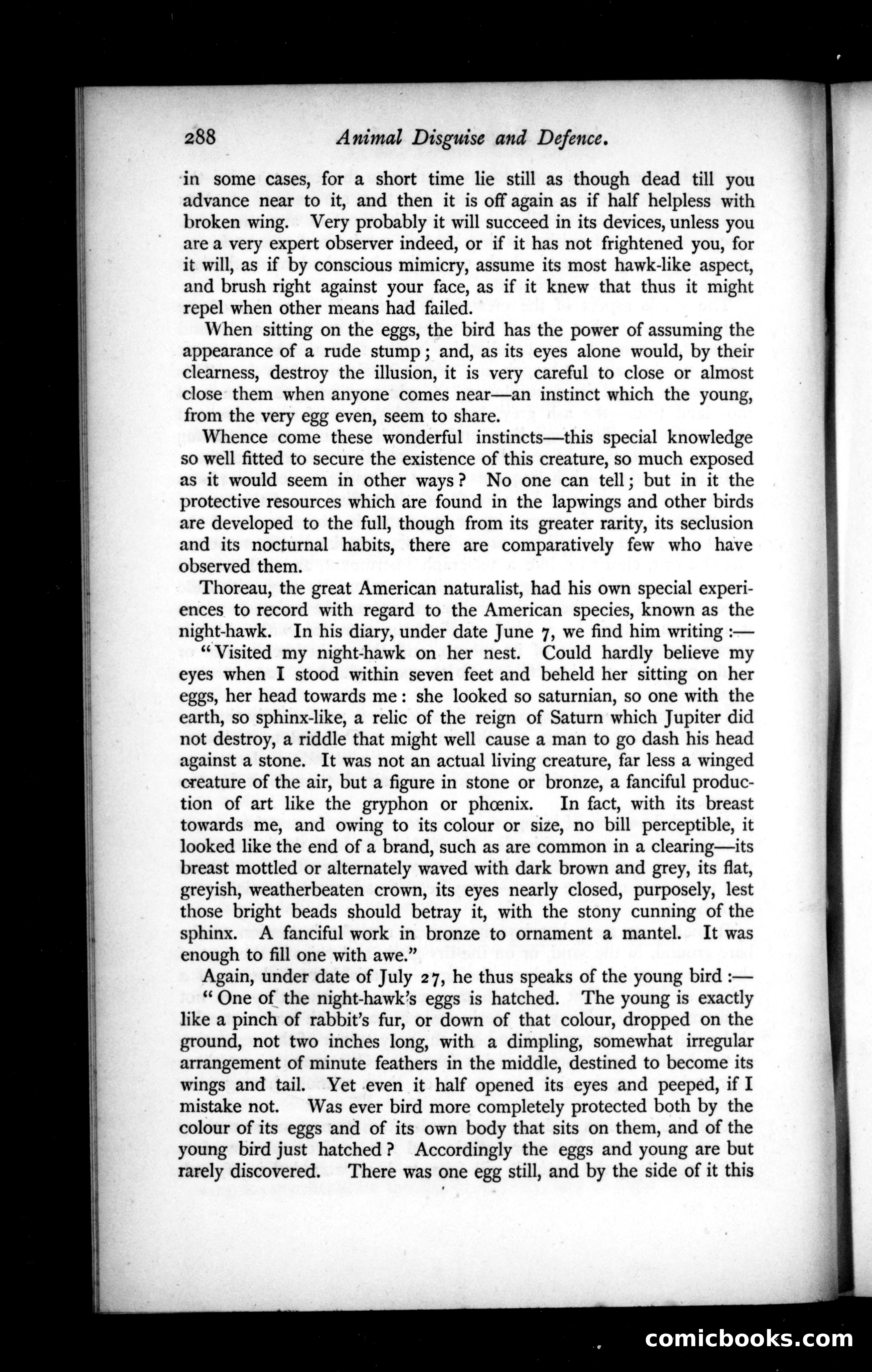 The Argosy, Vol. XLIX — page 24 of 90