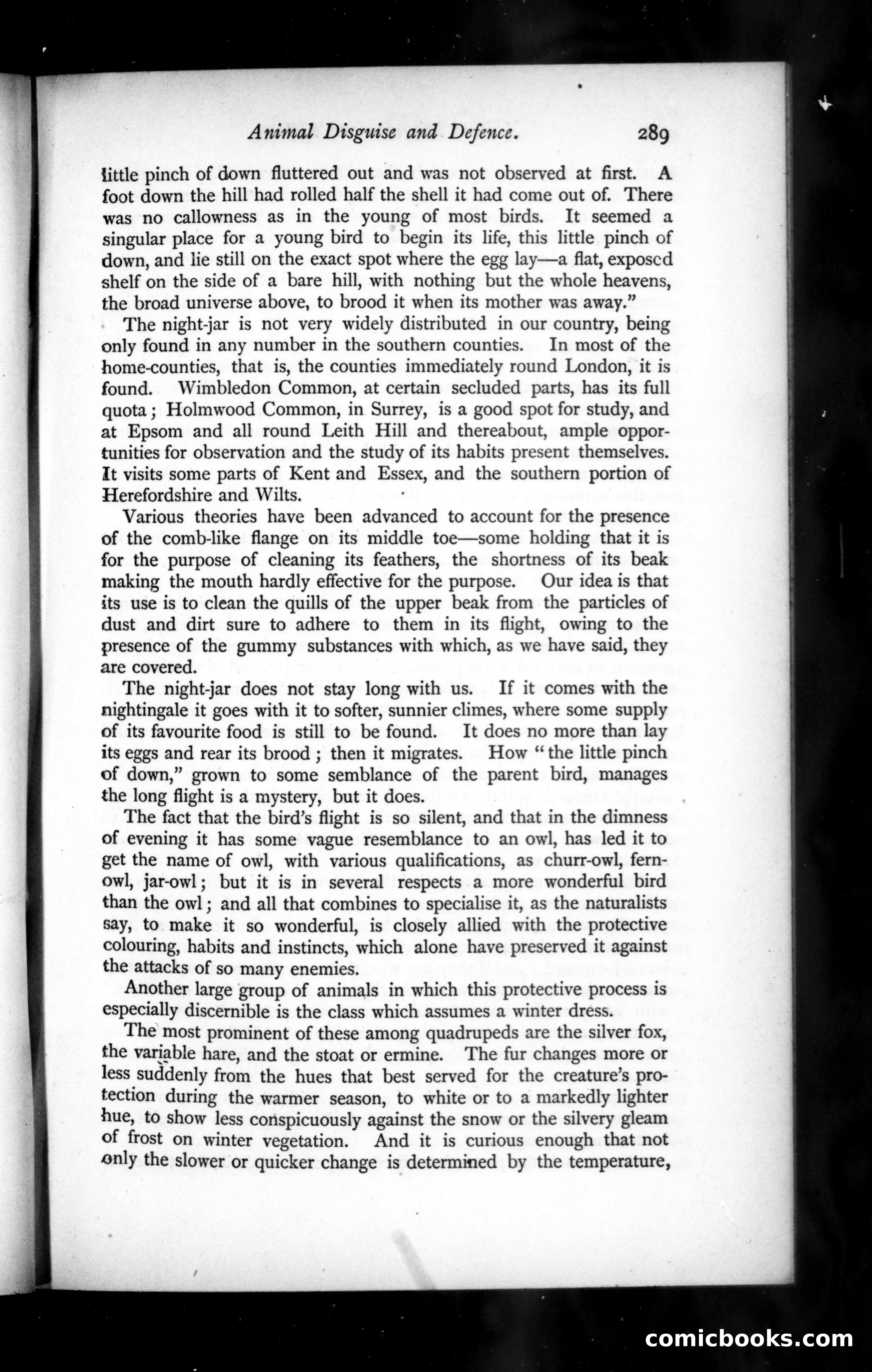 The Argosy, Vol. XLIX — page 25 of 90
