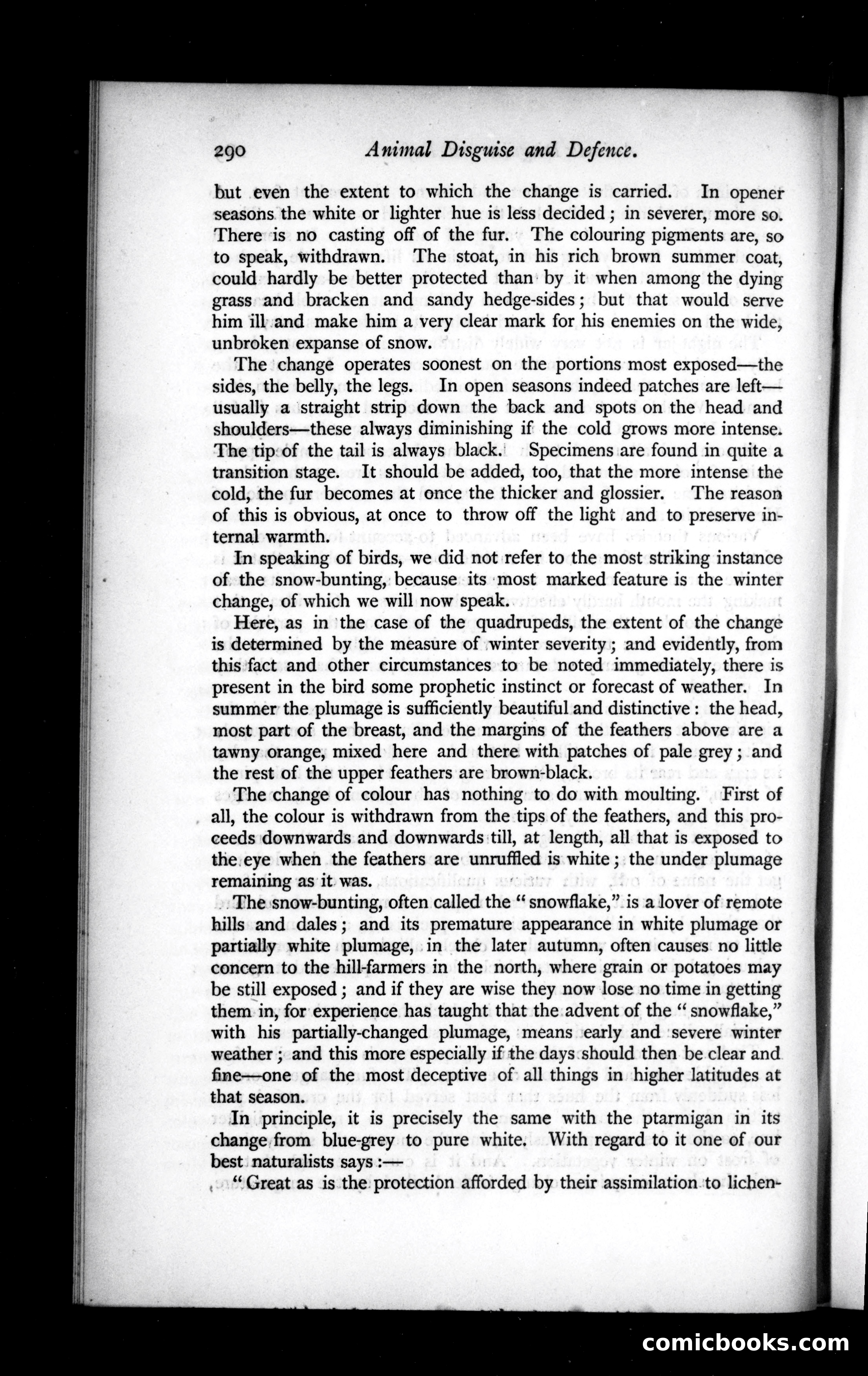 The Argosy, Vol. XLIX — page 26 of 90