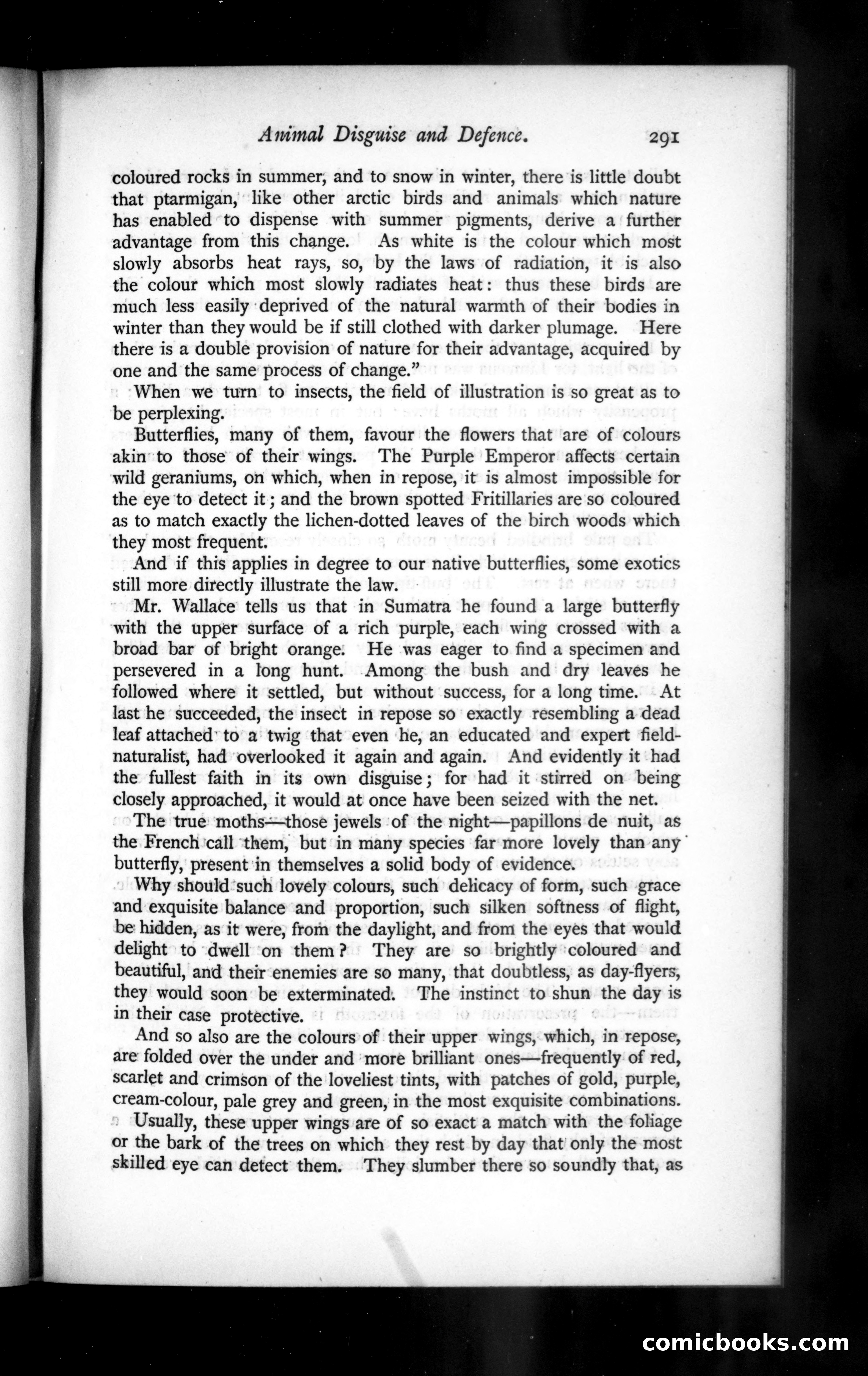 The Argosy, Vol. XLIX — page 27 of 90