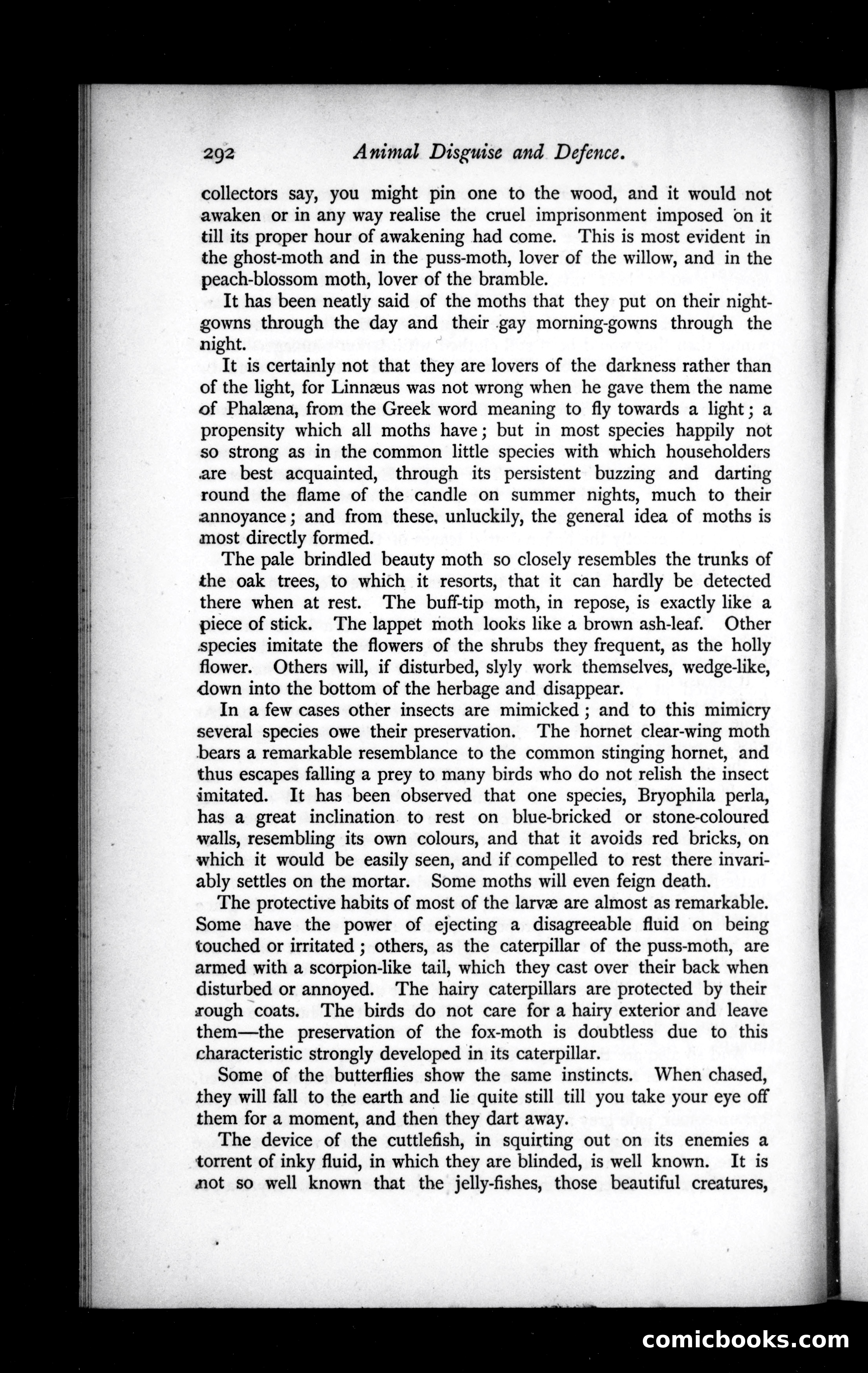 The Argosy, Vol. XLIX — page 28 of 90