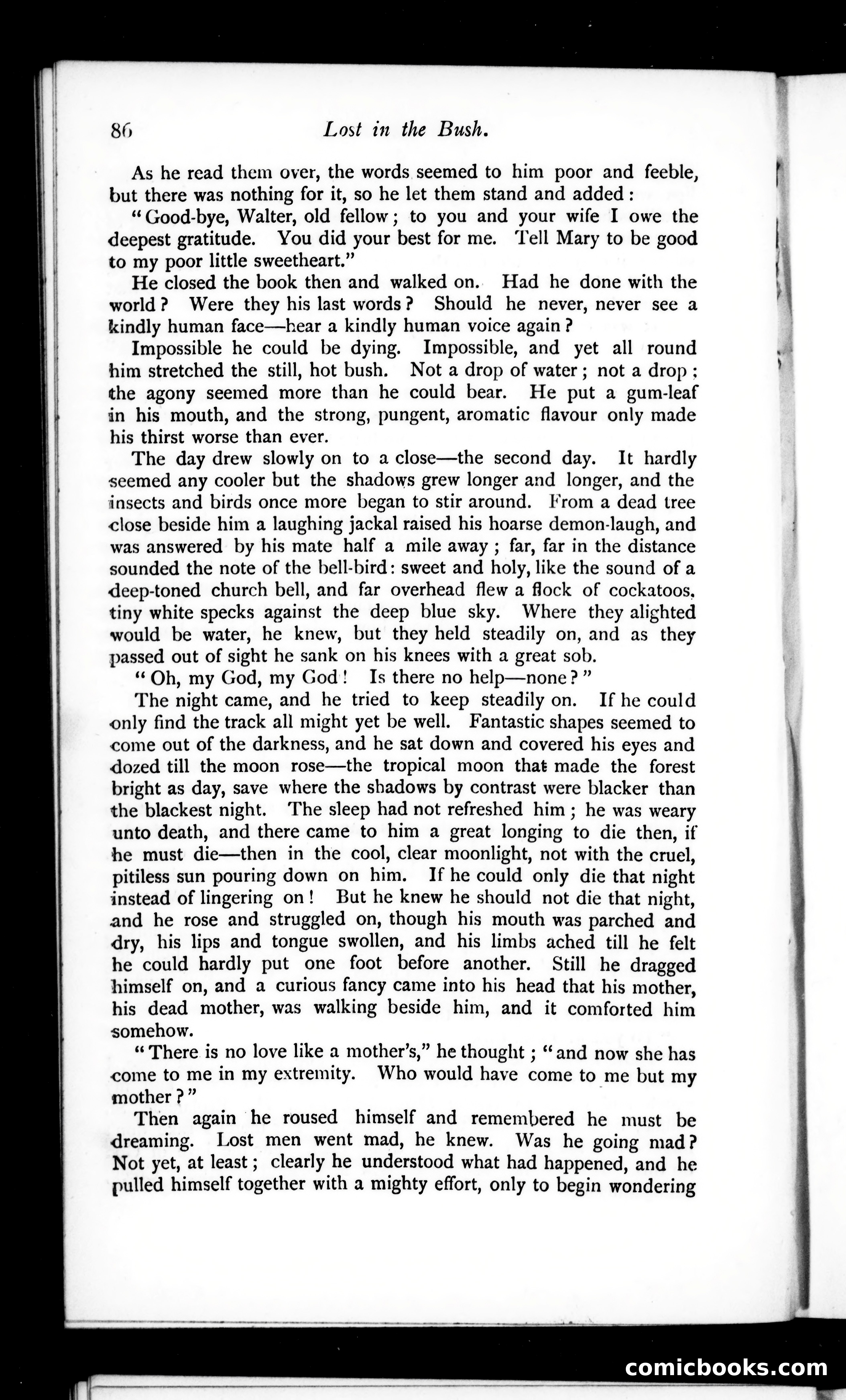 The Argosy, Vol. 52 — page 88 of 92